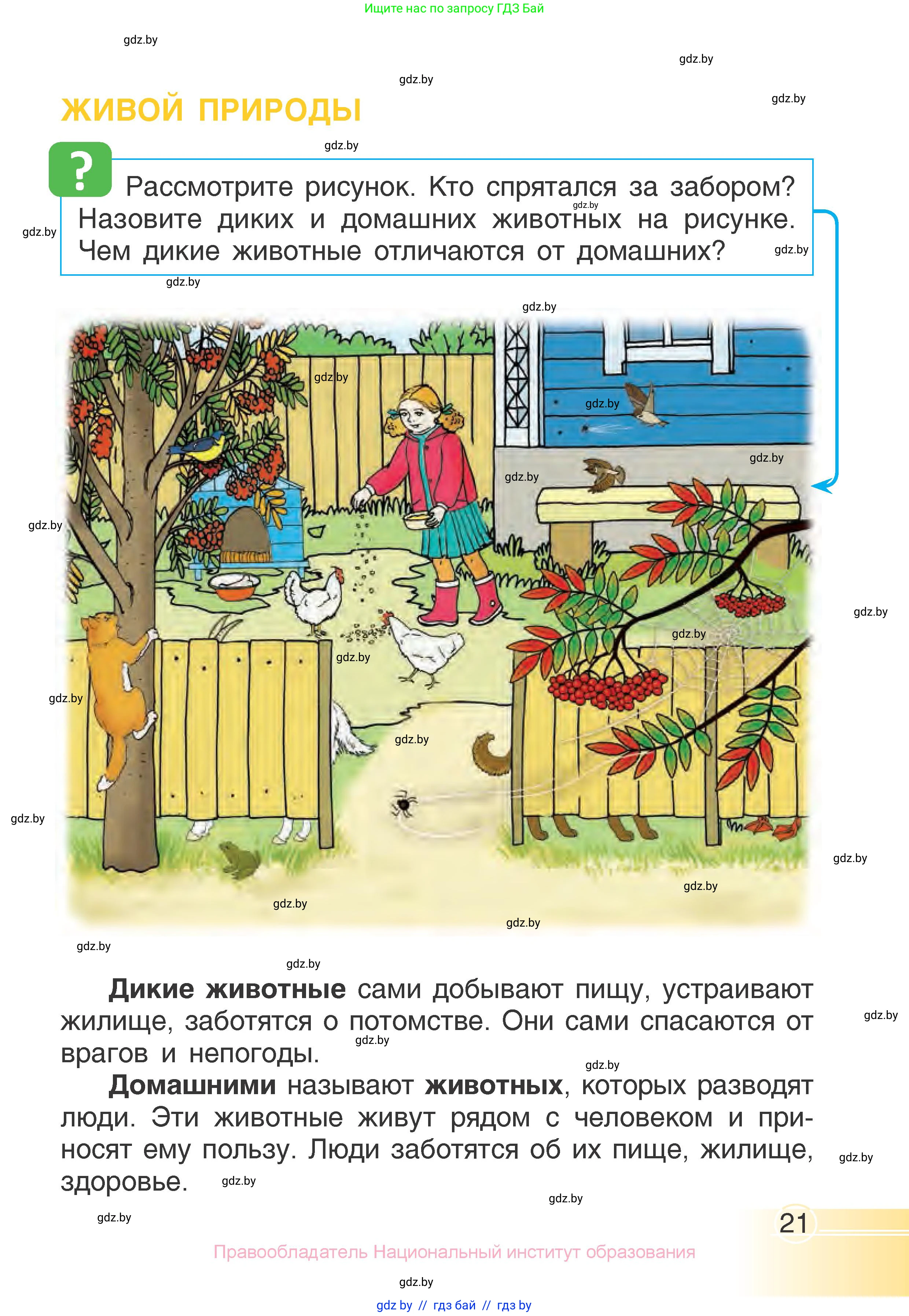 Человек и мир, 1 класс Учебник, авторы: Трафимова Галина Владимировна, Трафимов Сергей Анатольевич, издательство Национальный институт образования, Минск, 2023, салатового цвета, страница 21