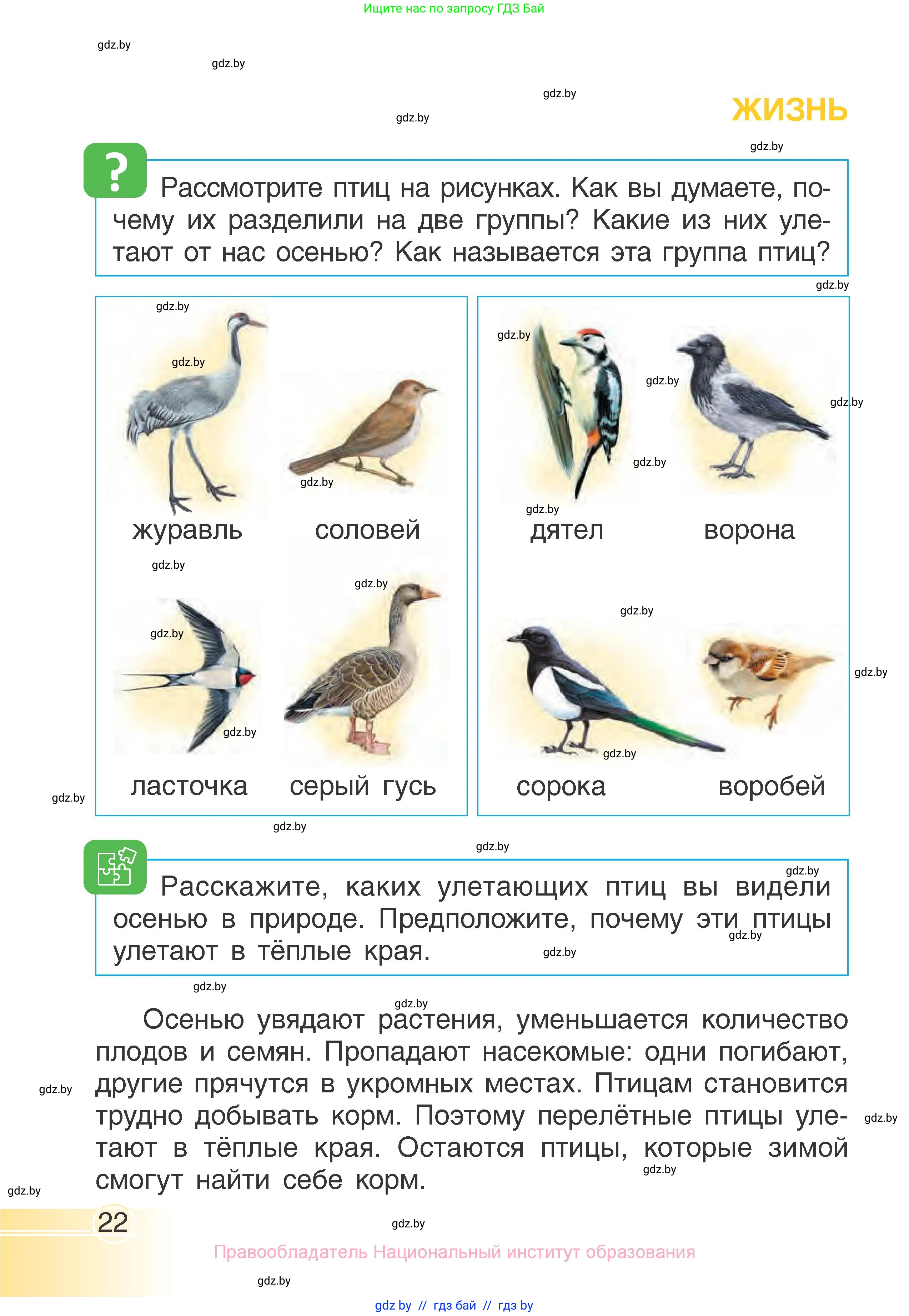 Человек и мир, 1 класс Учебник, авторы: Трафимова Галина Владимировна, Трафимов Сергей Анатольевич, издательство Национальный институт образования, Минск, 2023, салатового цвета, страница 22
