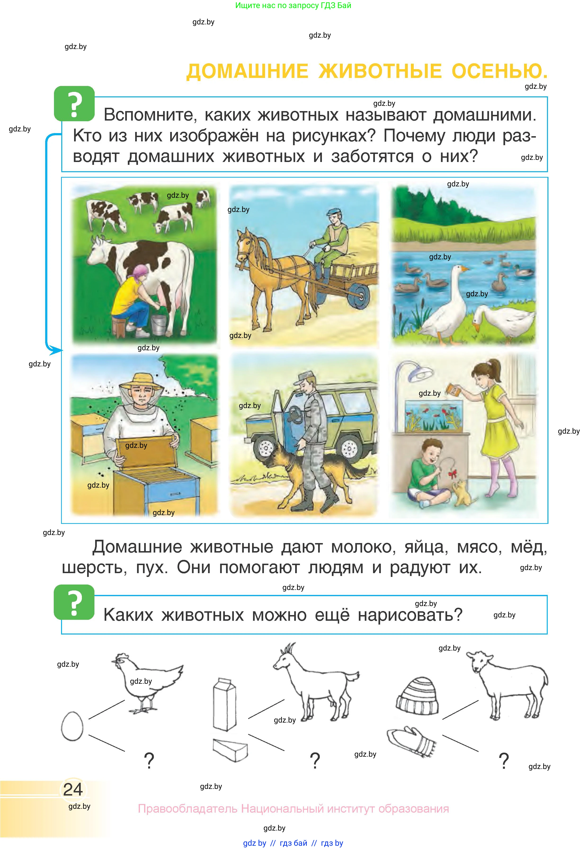Человек и мир, 1 класс Учебник, авторы: Трафимова Галина Владимировна, Трафимов Сергей Анатольевич, издательство Национальный институт образования, Минск, 2023, салатового цвета, страница 24