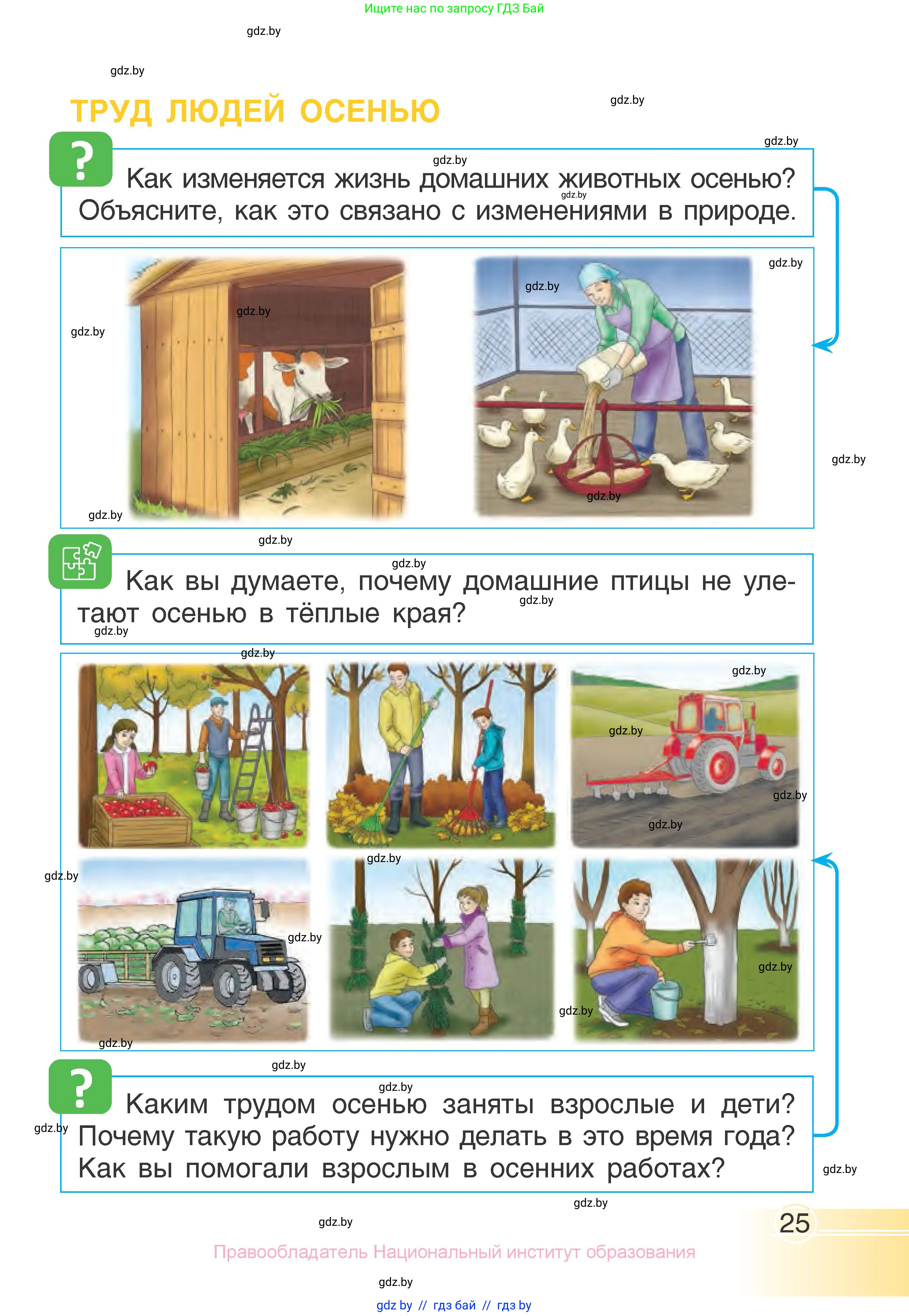 Человек и мир, 1 класс Учебник, авторы: Трафимова Галина Владимировна, Трафимов Сергей Анатольевич, издательство Национальный институт образования, Минск, 2023, салатового цвета, страница 25
