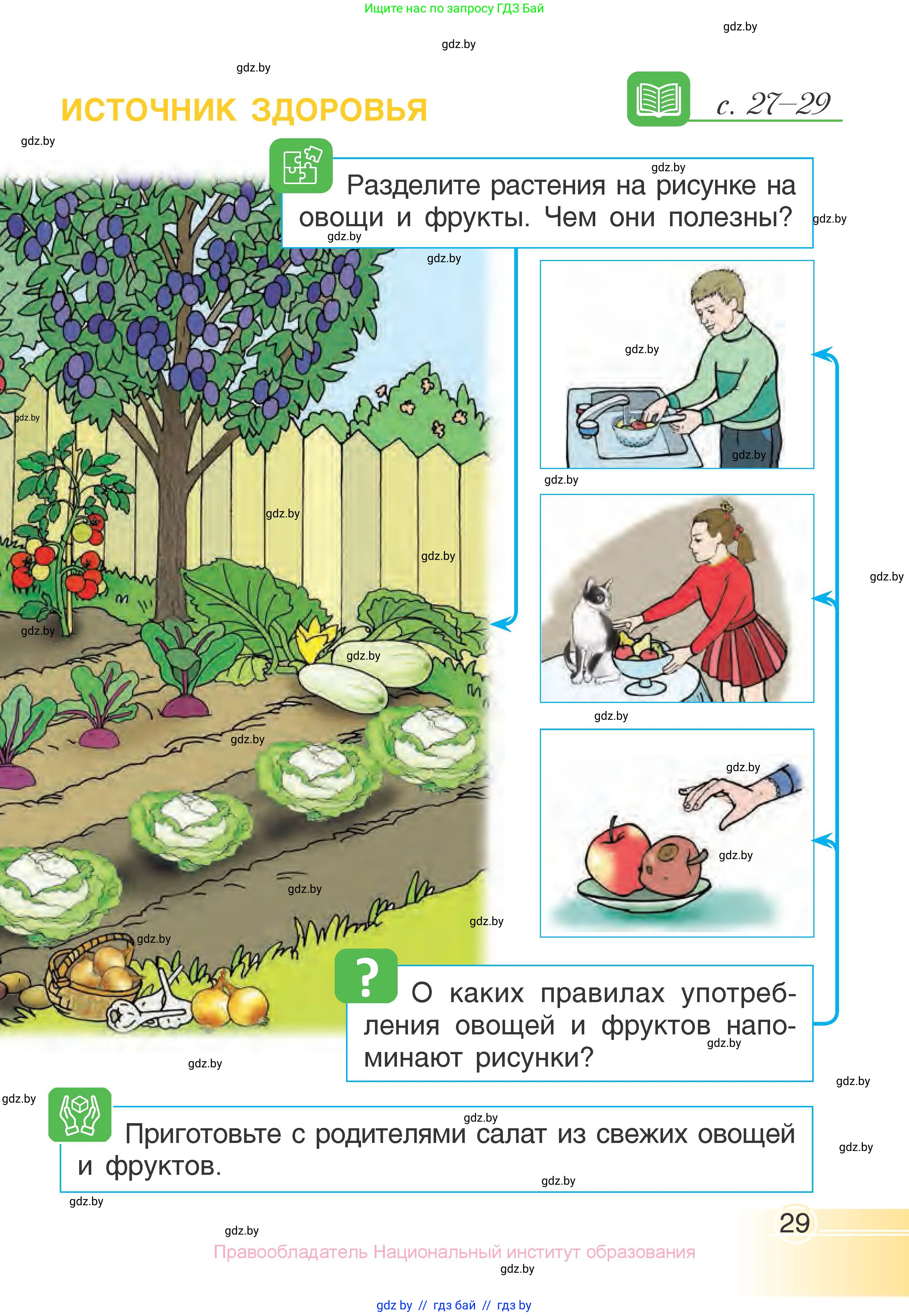 Человек и мир, 1 класс Учебник, авторы: Трафимова Галина Владимировна, Трафимов Сергей Анатольевич, издательство Национальный институт образования, Минск, 2023, салатового цвета, страница 29