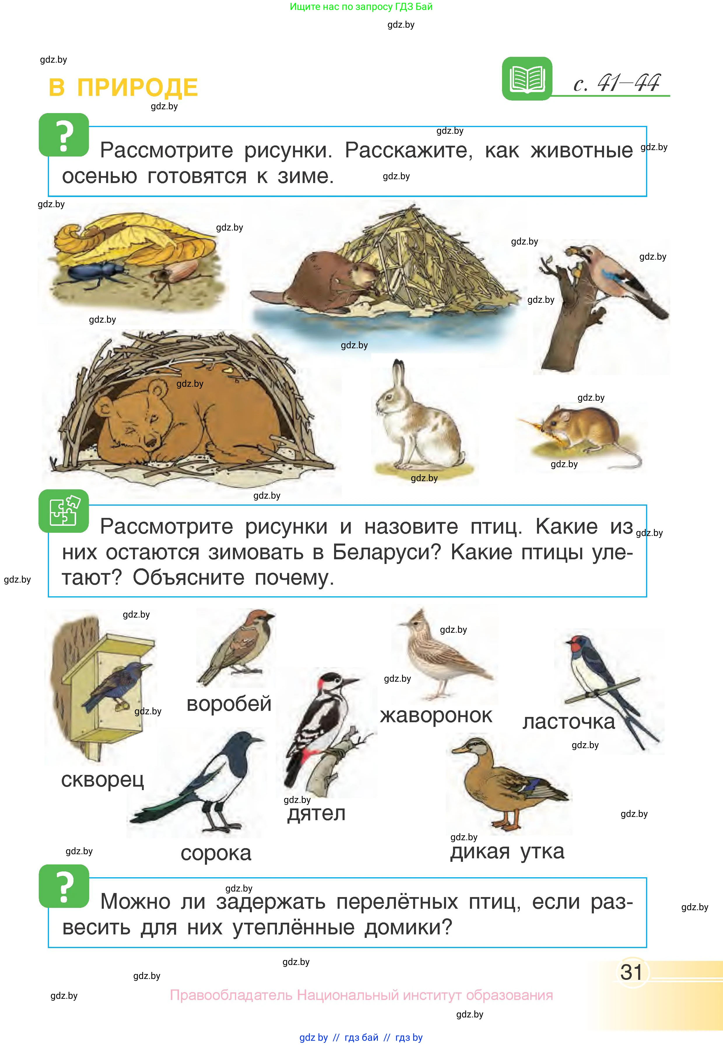 Человек и мир, 1 класс Учебник, авторы: Трафимова Галина Владимировна, Трафимов Сергей Анатольевич, издательство Национальный институт образования, Минск, 2023, салатового цвета, страница 31