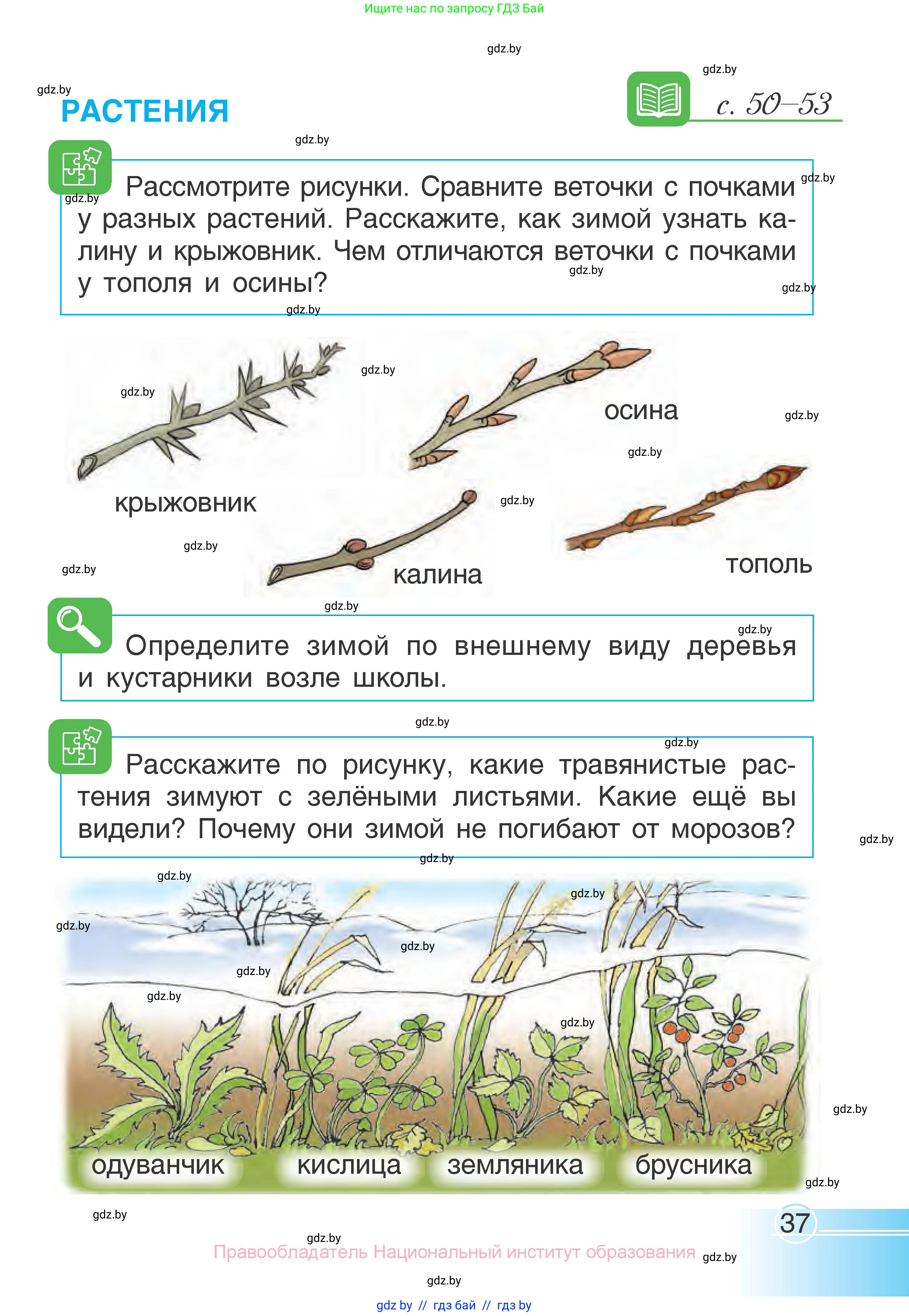 Человек и мир, 1 класс Учебник, авторы: Трафимова Галина Владимировна, Трафимов Сергей Анатольевич, издательство Национальный институт образования, Минск, 2023, салатового цвета, страница 37