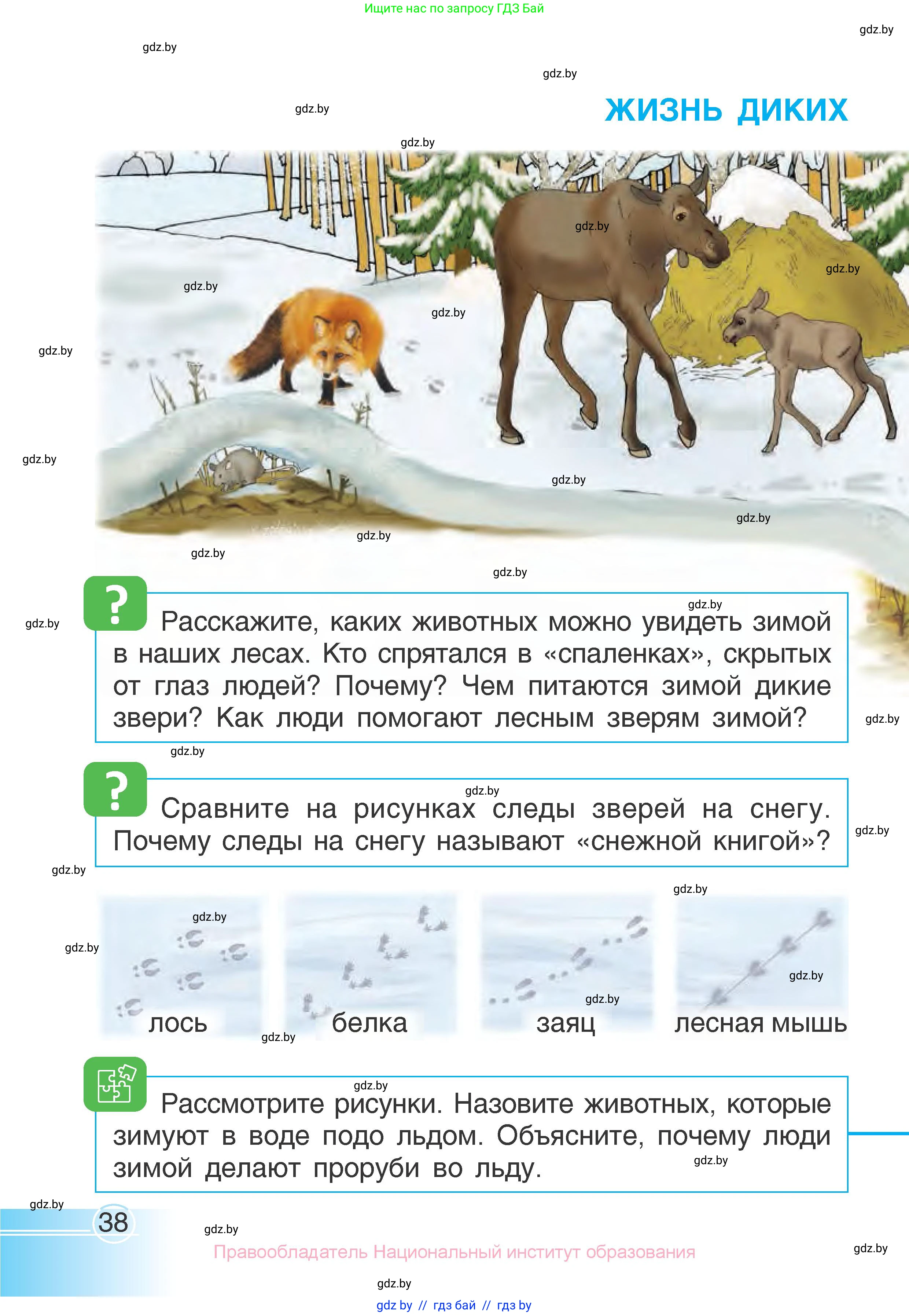 Человек и мир, 1 класс Учебник, авторы: Трафимова Галина Владимировна, Трафимов Сергей Анатольевич, издательство Национальный институт образования, Минск, 2023, салатового цвета, страница 38