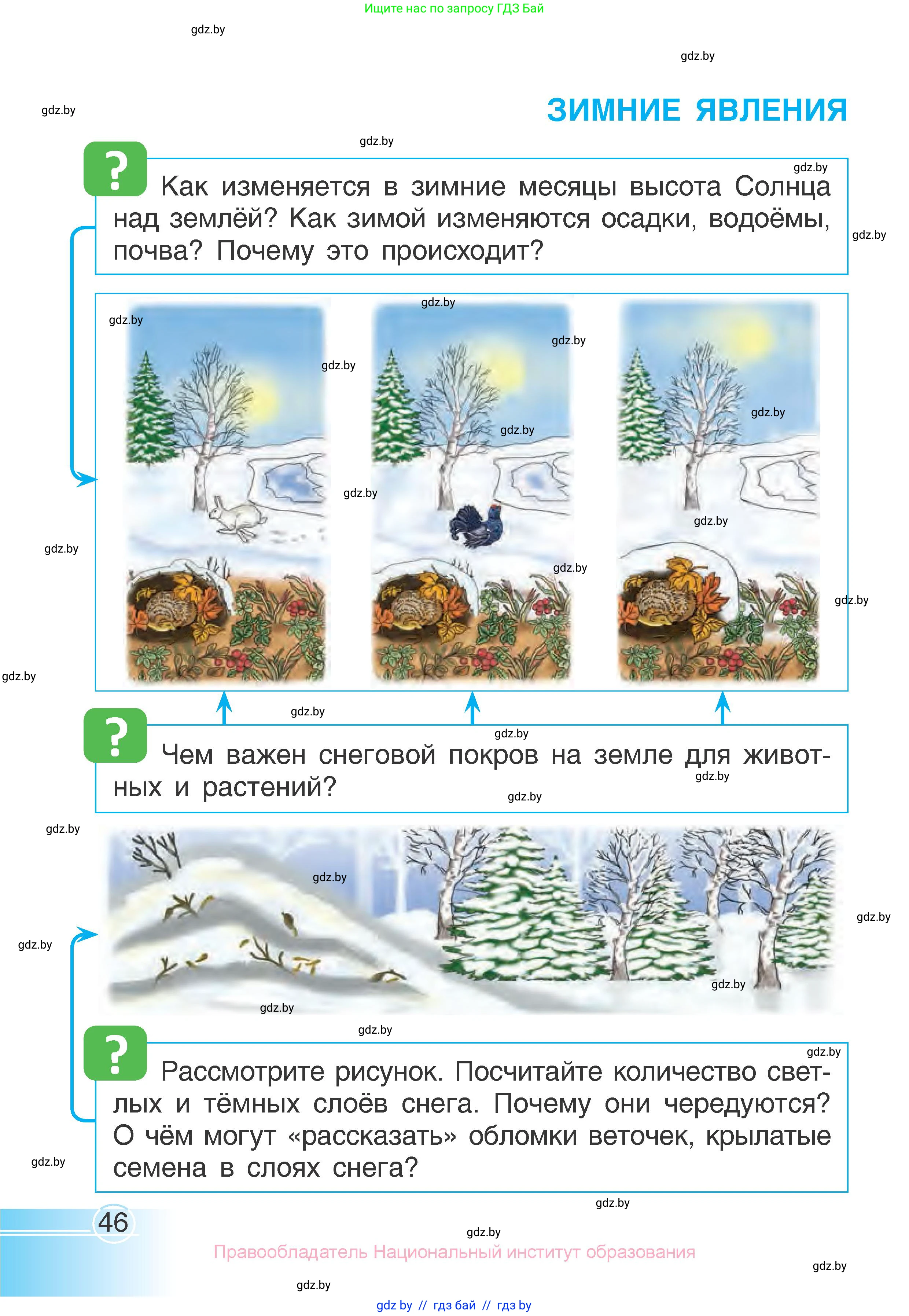 Человек и мир, 1 класс Учебник, авторы: Трафимова Галина Владимировна, Трафимов Сергей Анатольевич, издательство Национальный институт образования, Минск, 2023, салатового цвета, страница 46