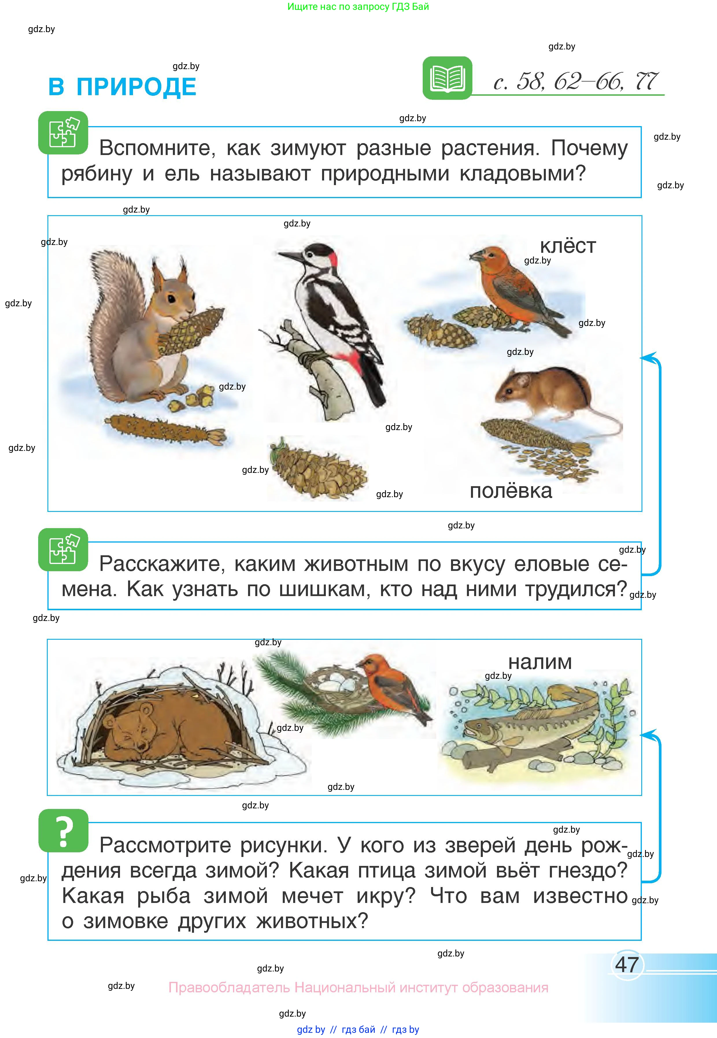 Человек и мир, 1 класс Учебник, авторы: Трафимова Галина Владимировна, Трафимов Сергей Анатольевич, издательство Национальный институт образования, Минск, 2023, салатового цвета, страница 47