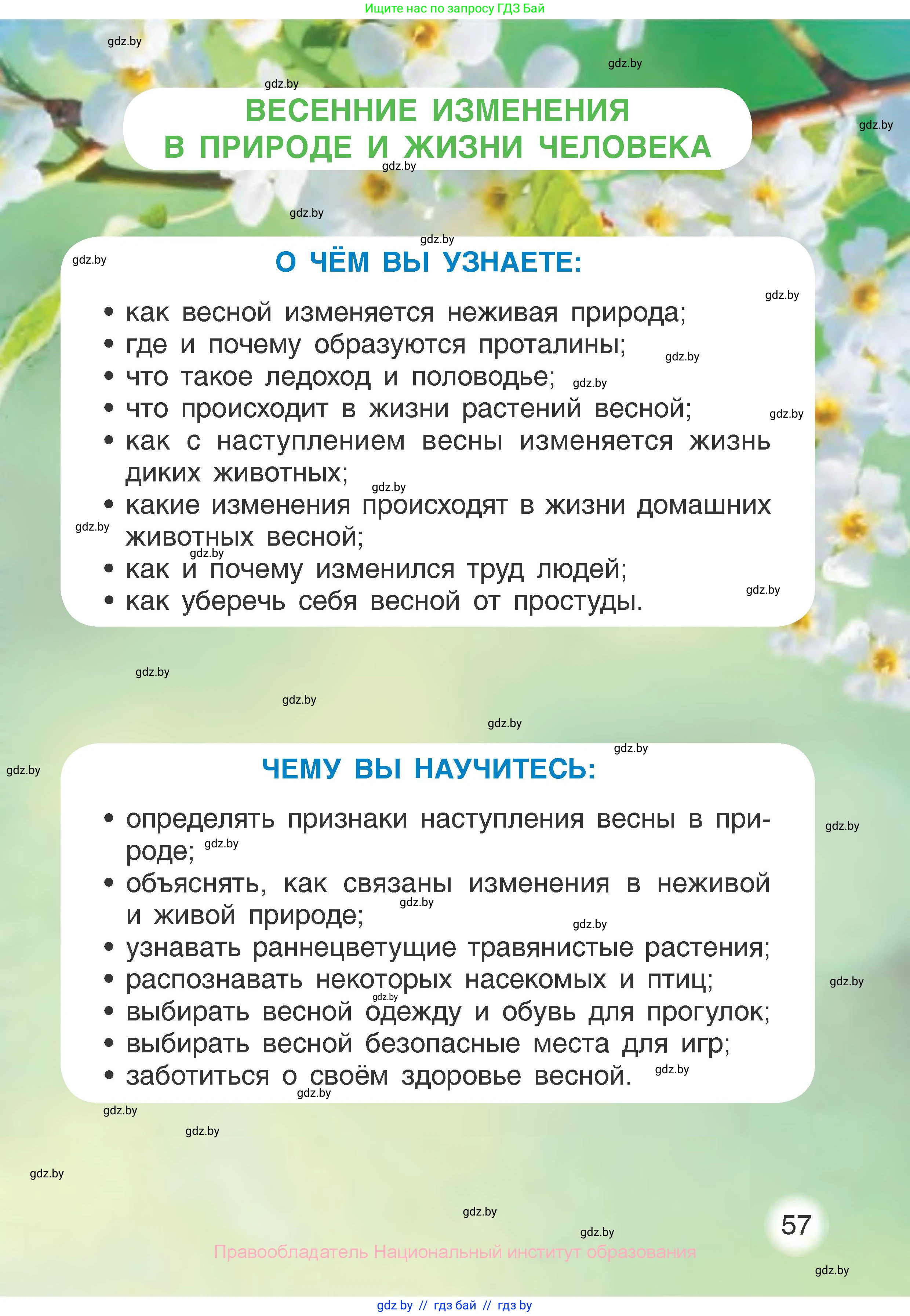 Человек и мир, 1 класс Учебник, авторы: Трафимова Галина Владимировна, Трафимов Сергей Анатольевич, издательство Национальный институт образования, Минск, 2023, салатового цвета, страница 57