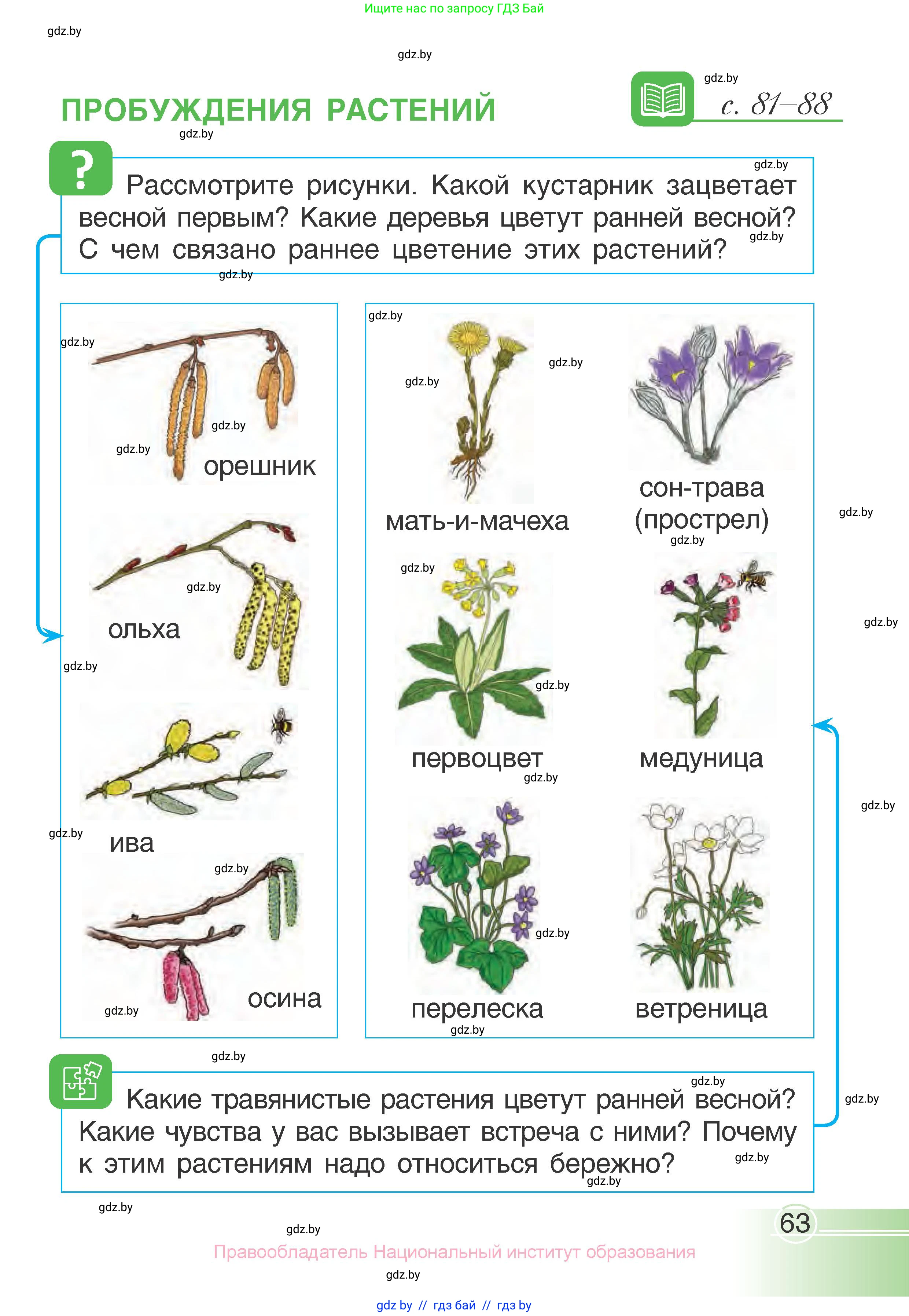 Человек и мир, 1 класс Учебник, авторы: Трафимова Галина Владимировна, Трафимов Сергей Анатольевич, издательство Национальный институт образования, Минск, 2023, салатового цвета, страница 63