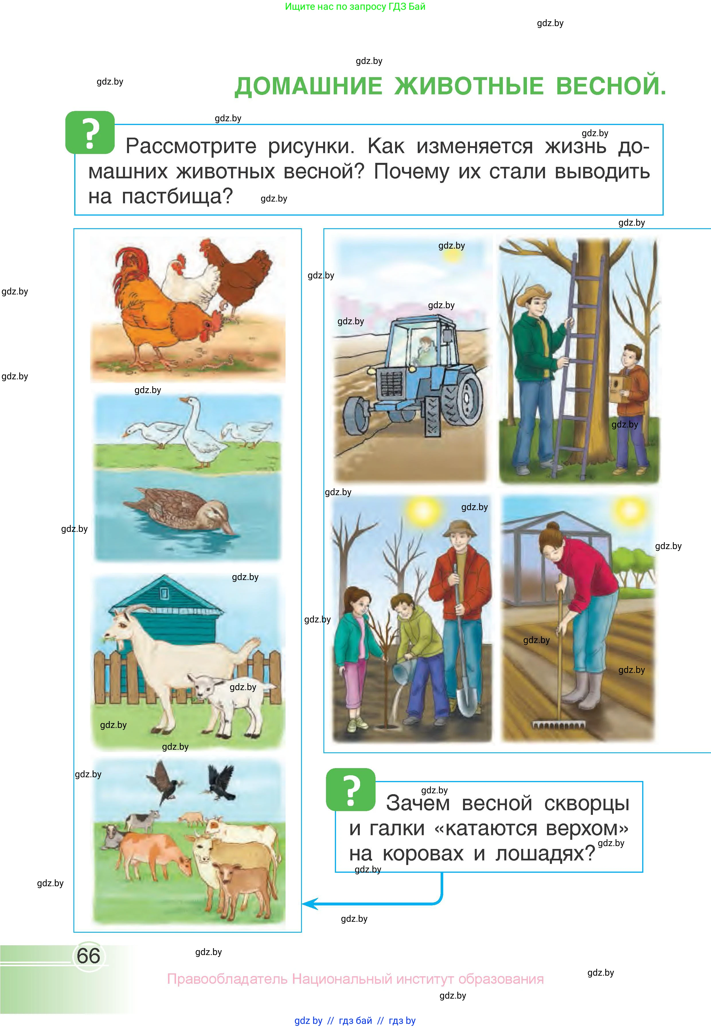 Человек и мир, 1 класс Учебник, авторы: Трафимова Галина Владимировна, Трафимов Сергей Анатольевич, издательство Национальный институт образования, Минск, 2023, салатового цвета, страница 66