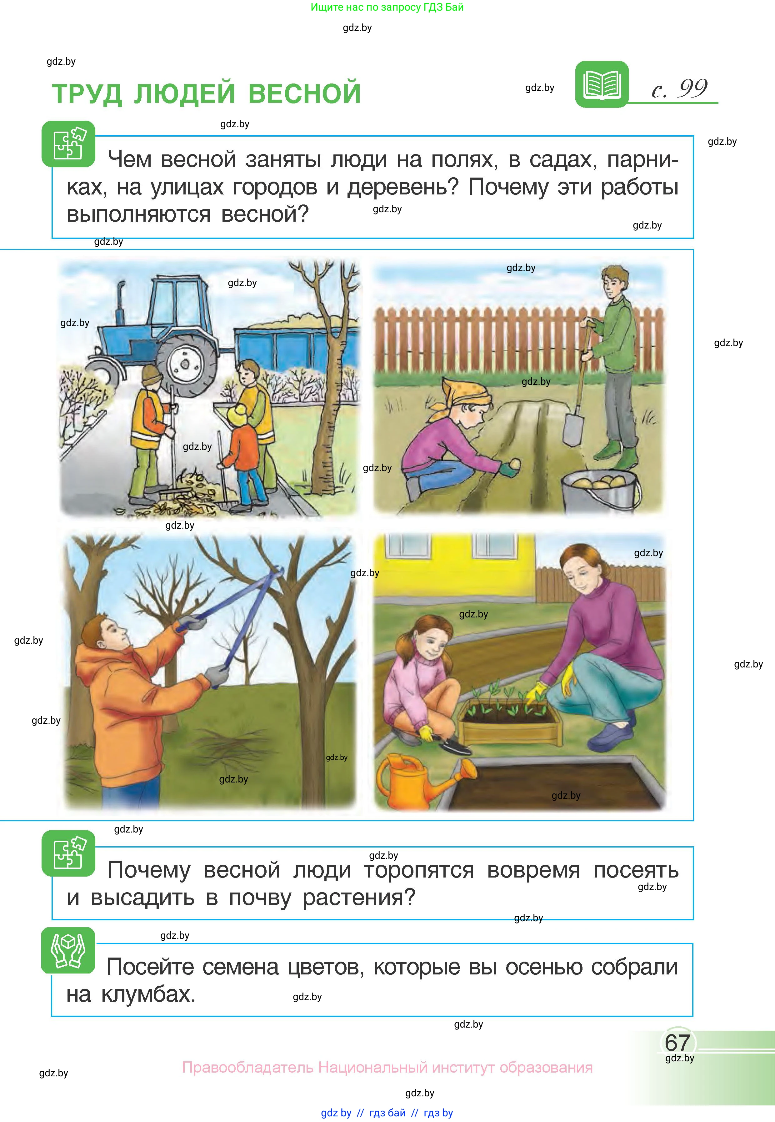 Человек и мир, 1 класс Учебник, авторы: Трафимова Галина Владимировна, Трафимов Сергей Анатольевич, издательство Национальный институт образования, Минск, 2023, салатового цвета, страница 67