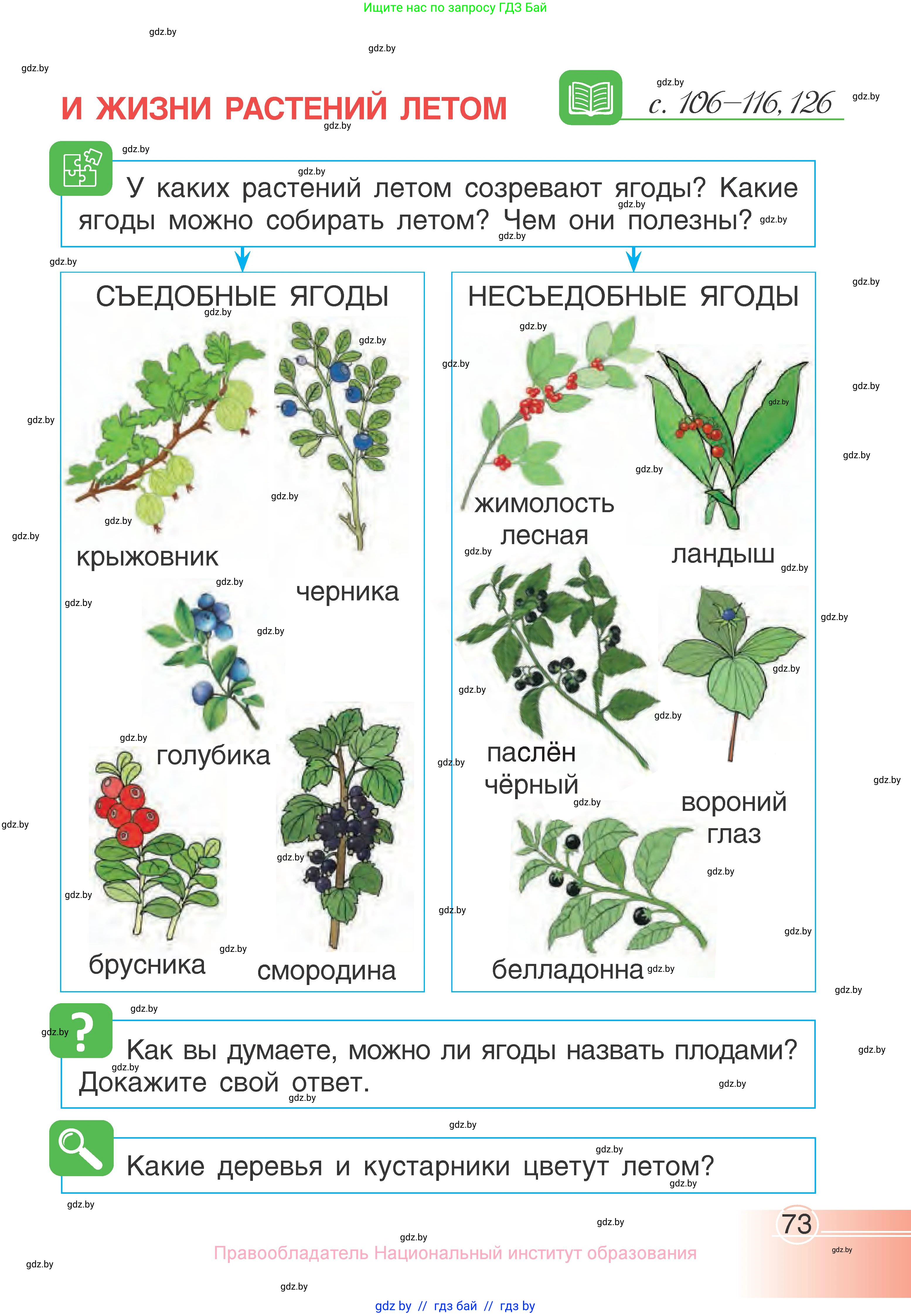 Человек и мир, 1 класс Учебник, авторы: Трафимова Галина Владимировна, Трафимов Сергей Анатольевич, издательство Национальный институт образования, Минск, 2023, салатового цвета, страница 73