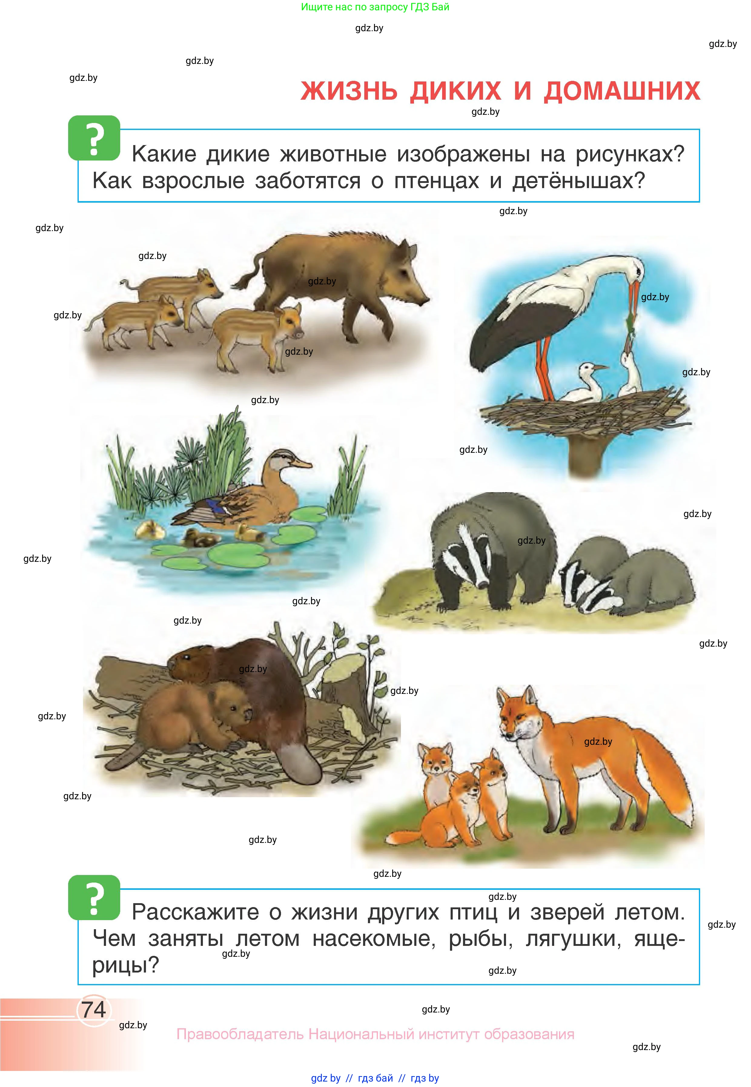 Человек и мир, 1 класс Учебник, авторы: Трафимова Галина Владимировна, Трафимов Сергей Анатольевич, издательство Национальный институт образования, Минск, 2023, салатового цвета, страница 74