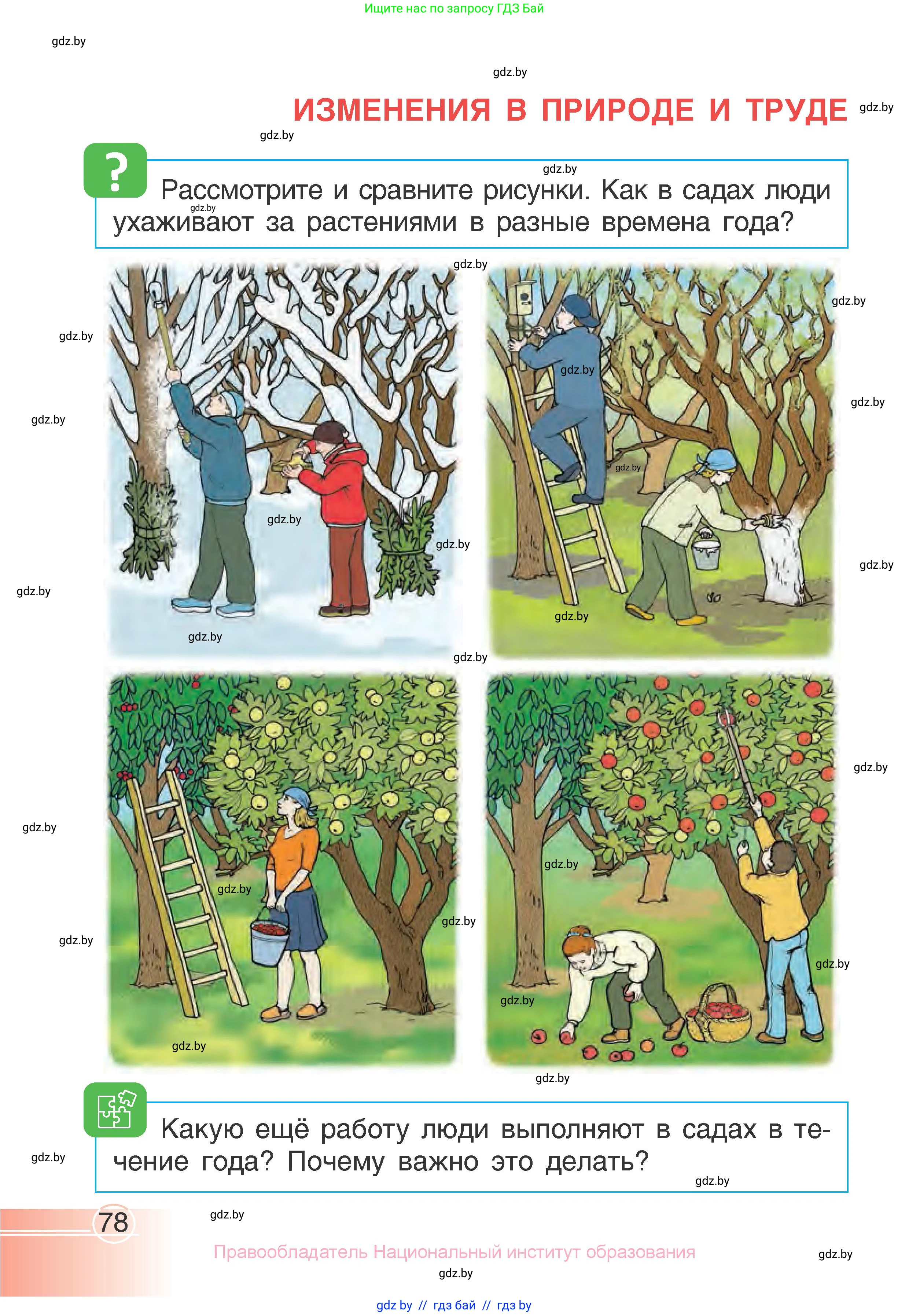 Человек и мир, 1 класс Учебник, авторы: Трафимова Галина Владимировна, Трафимов Сергей Анатольевич, издательство Национальный институт образования, Минск, 2023, салатового цвета, страница 78