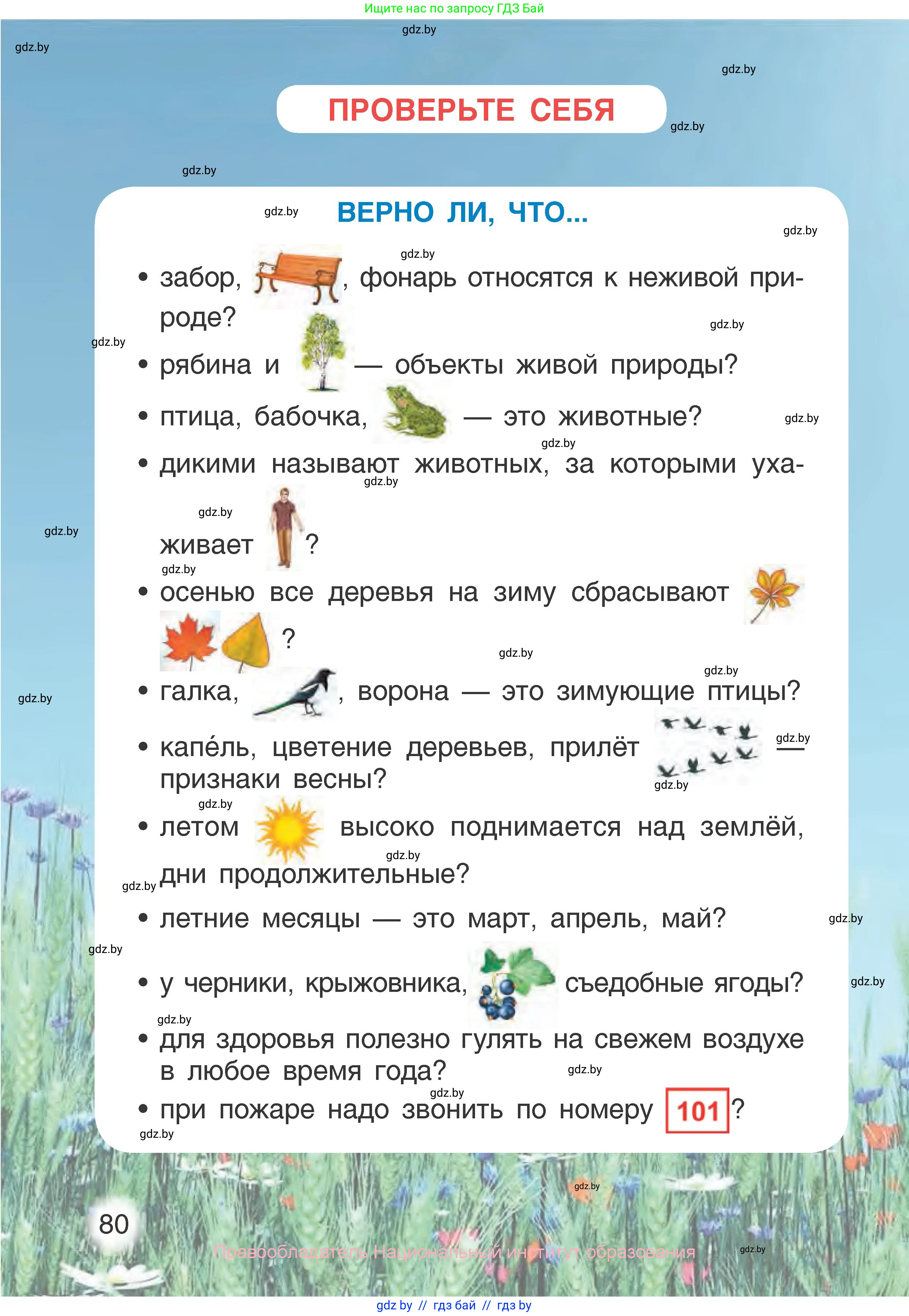 Человек и мир, 1 класс Учебник, авторы: Трафимова Галина Владимировна, Трафимов Сергей Анатольевич, издательство Национальный институт образования, Минск, 2023, салатового цвета, страница 80