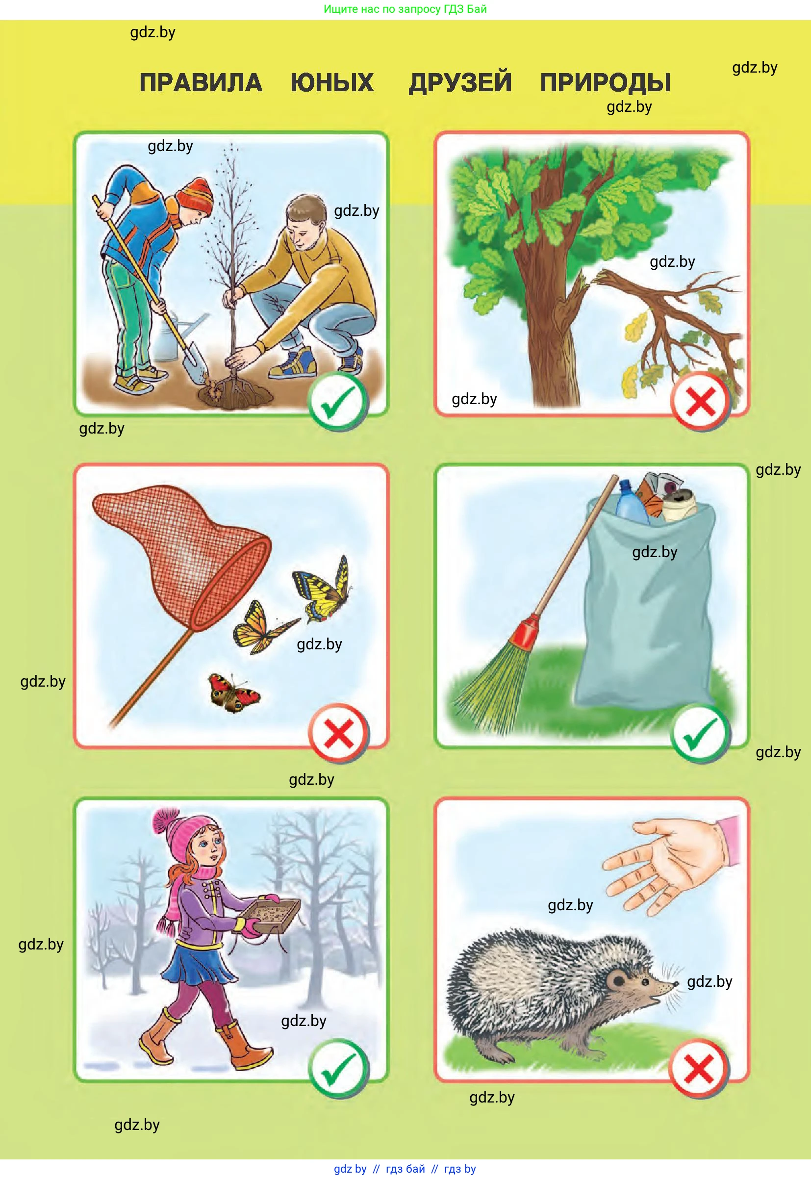 Человек и мир, 1 класс Учебник, авторы: Трафимова Галина Владимировна, Трафимов Сергей Анатольевич, издательство Национальный институт образования, Минск, 2023, салатового цвета, 