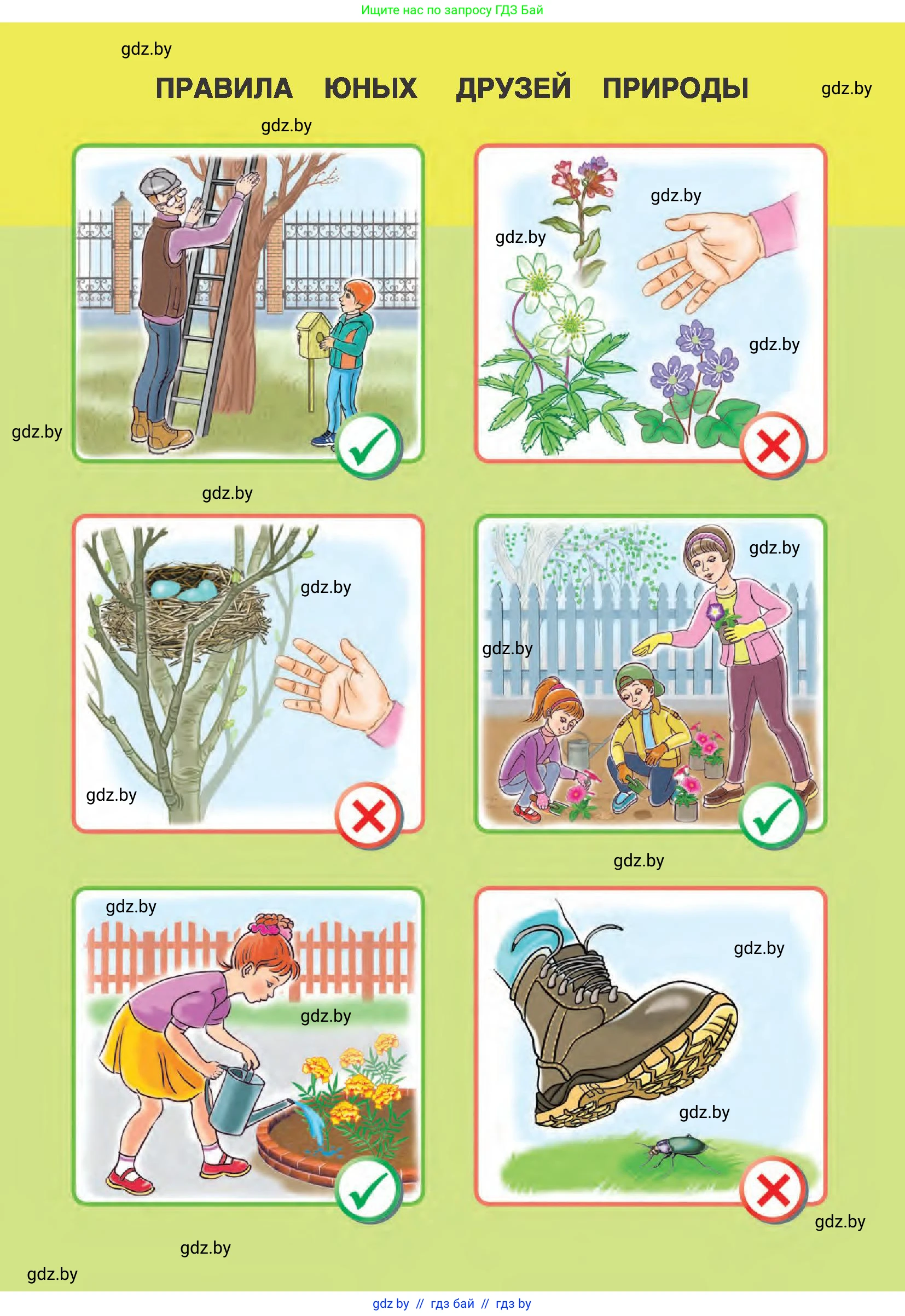 Человек и мир, 1 класс Учебник, авторы: Трафимова Галина Владимировна, Трафимов Сергей Анатольевич, издательство Национальный институт образования, Минск, 2023, салатового цвета, 