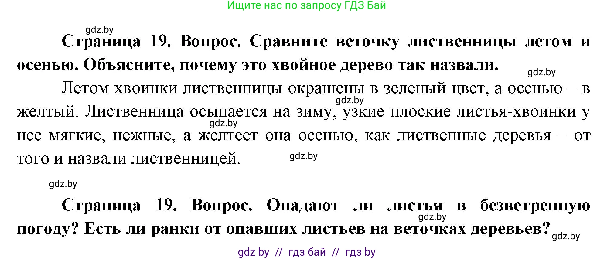 Человек и мир, 1 класс Учебник, авторы: Трафимова Галина Владимировна, Трафимов Сергей Анатольевич, издательство Национальный институт образования, Минск, 2023, салатового цвета, страница 19, Решение
