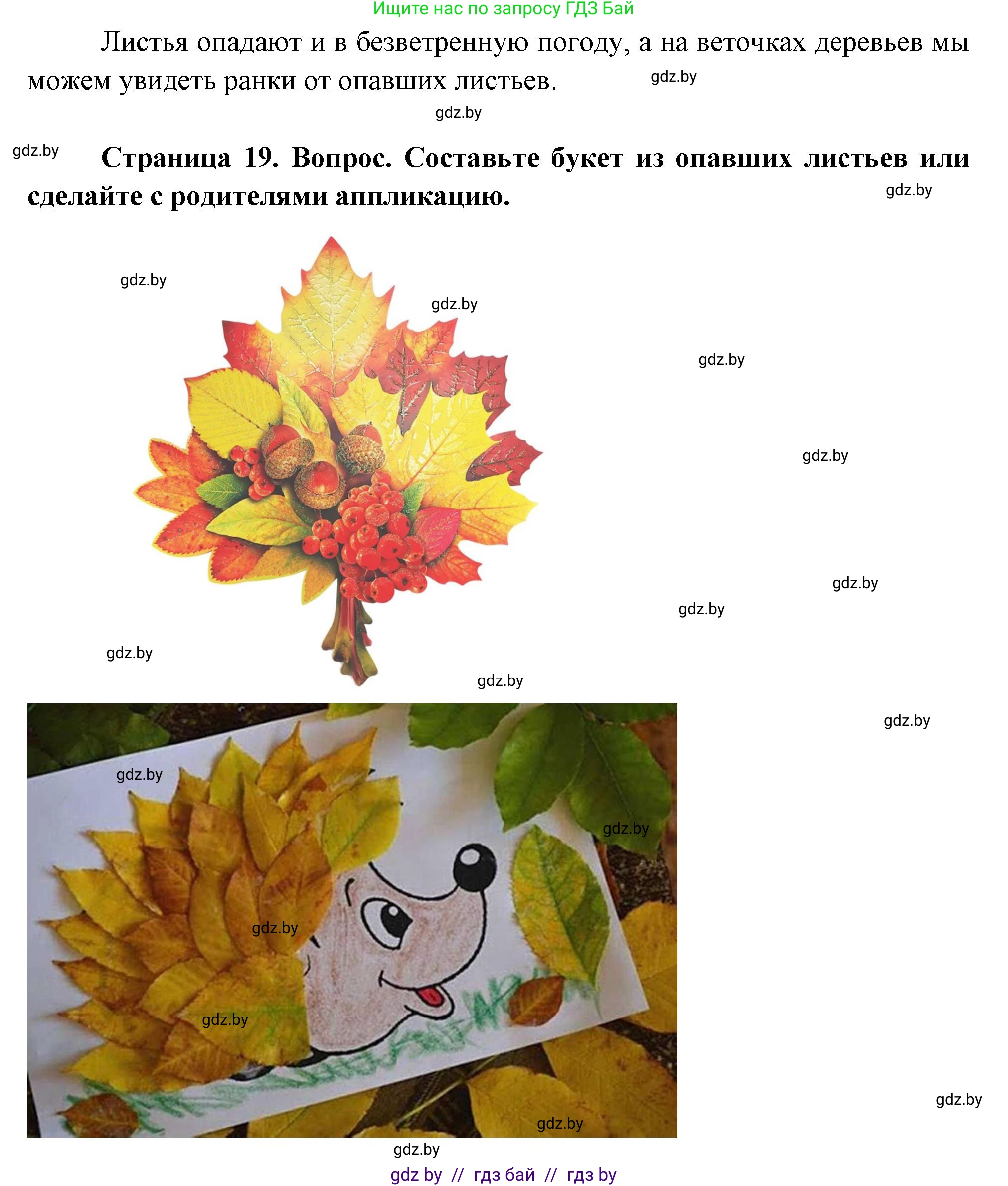 Человек и мир, 1 класс Учебник, авторы: Трафимова Галина Владимировна, Трафимов Сергей Анатольевич, издательство Национальный институт образования, Минск, 2023, салатового цвета, страница 19, Решение (продолжение 2)