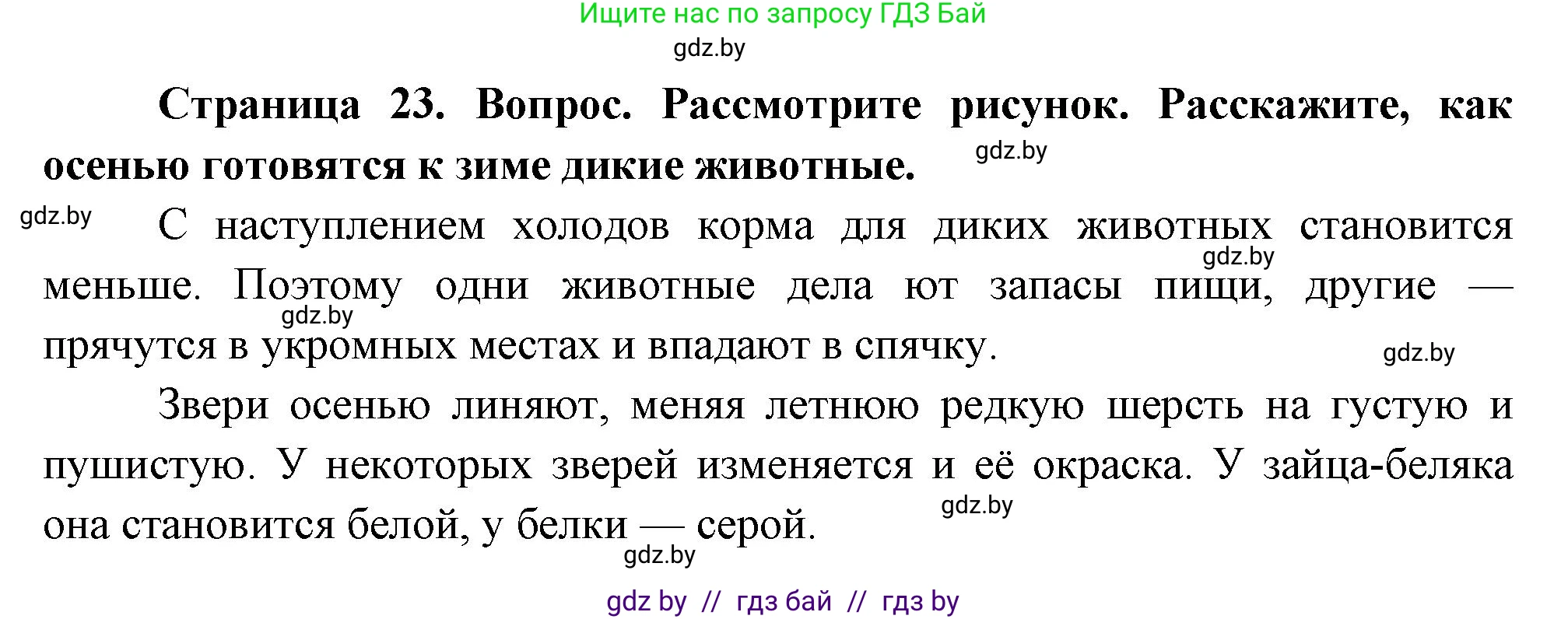 Человек и мир, 1 класс Учебник, авторы: Трафимова Галина Владимировна, Трафимов Сергей Анатольевич, издательство Национальный институт образования, Минск, 2023, салатового цвета, страница 23, Решение