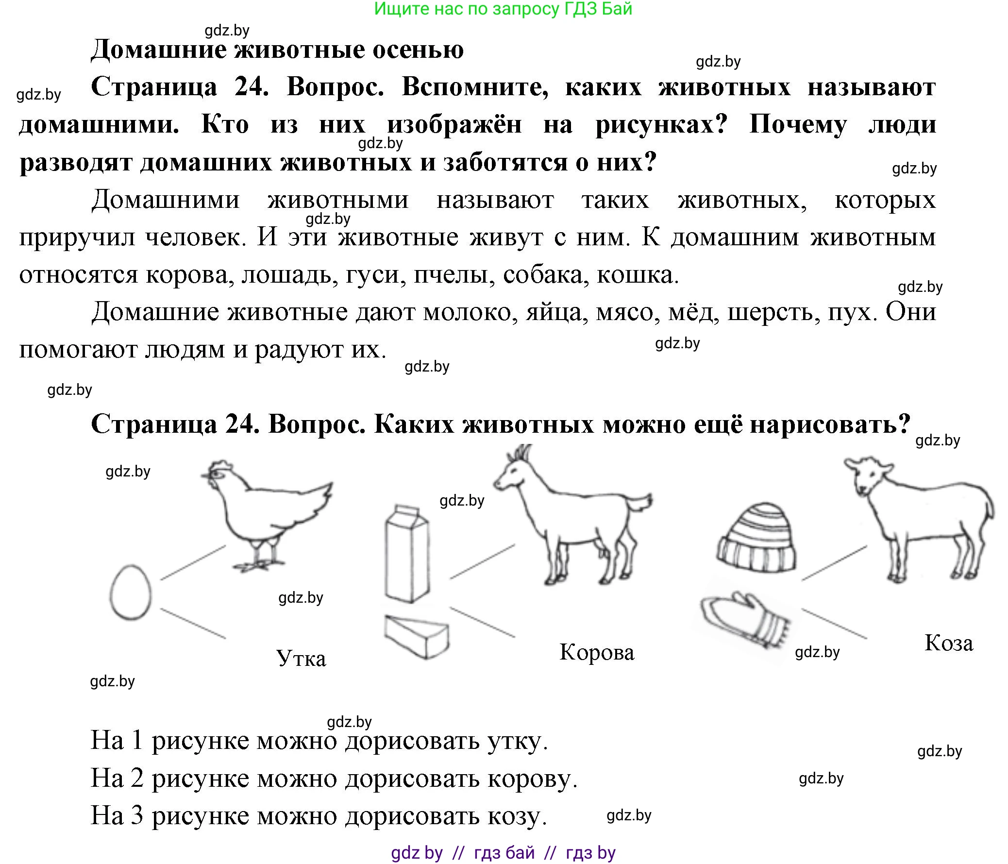 Человек и мир, 1 класс Учебник, авторы: Трафимова Галина Владимировна, Трафимов Сергей Анатольевич, издательство Национальный институт образования, Минск, 2023, салатового цвета, страница 24, Решение