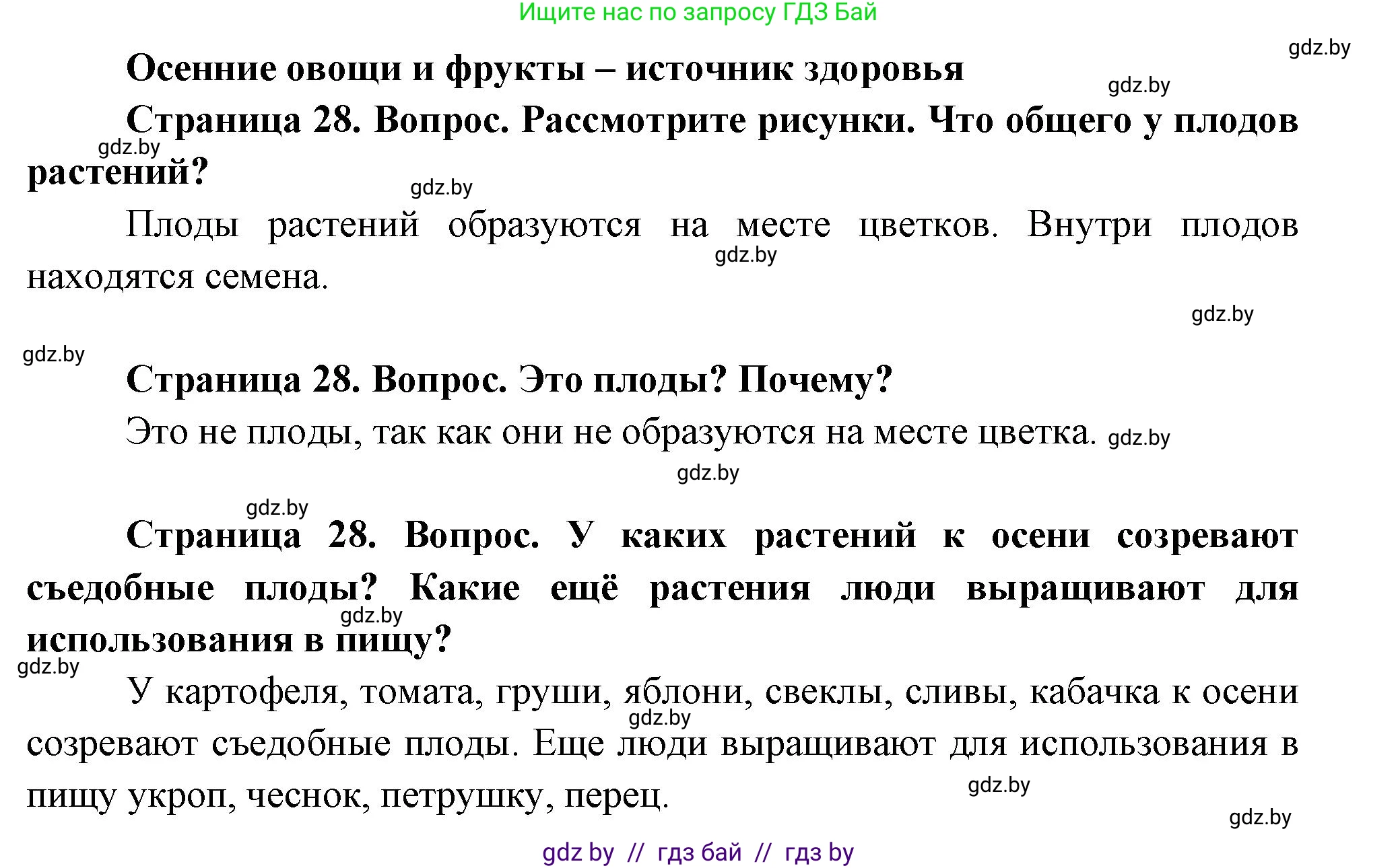 Человек и мир, 1 класс Учебник, авторы: Трафимова Галина Владимировна, Трафимов Сергей Анатольевич, издательство Национальный институт образования, Минск, 2023, салатового цвета, страница 28, Решение