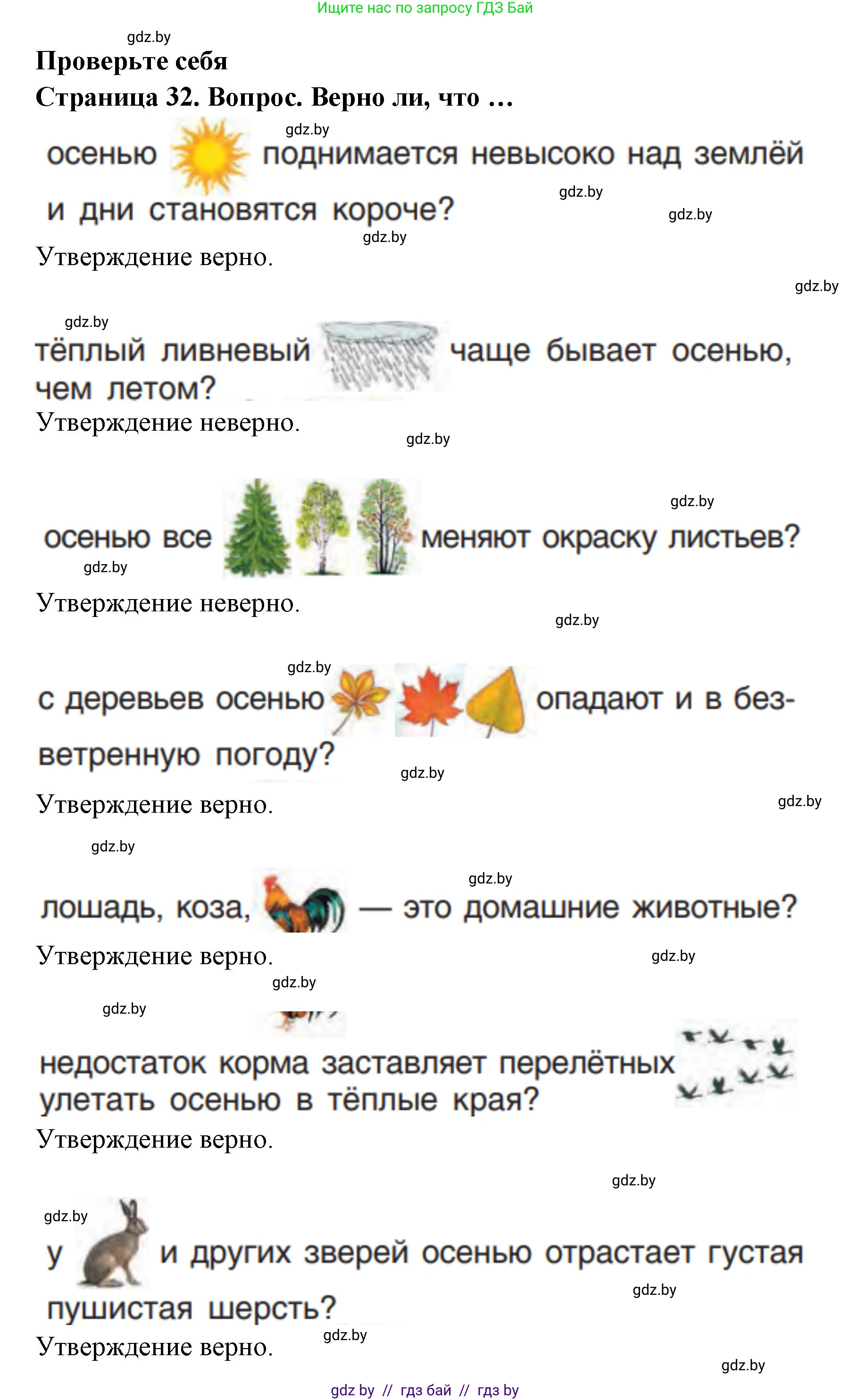 Человек и мир, 1 класс Учебник, авторы: Трафимова Галина Владимировна, Трафимов Сергей Анатольевич, издательство Национальный институт образования, Минск, 2023, салатового цвета, страница 32, Решение