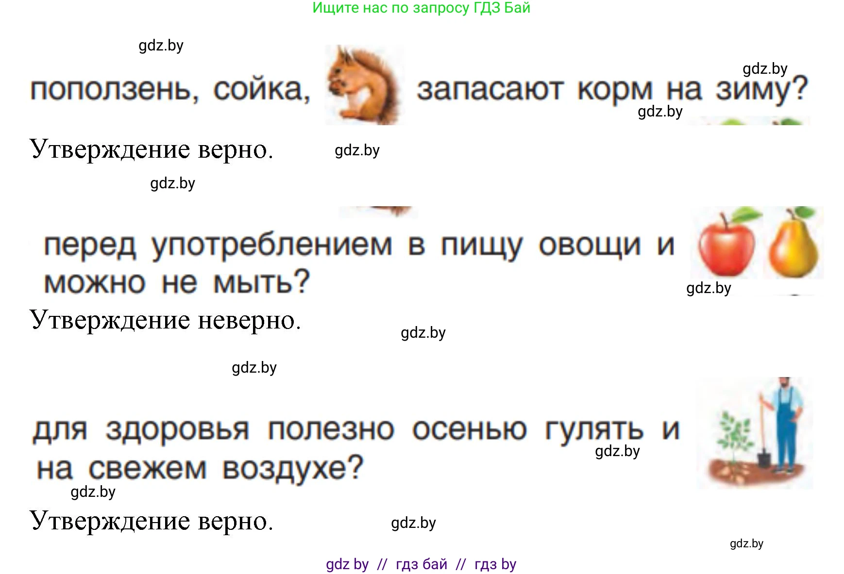 Человек и мир, 1 класс Учебник, авторы: Трафимова Галина Владимировна, Трафимов Сергей Анатольевич, издательство Национальный институт образования, Минск, 2023, салатового цвета, страница 32, Решение (продолжение 2)