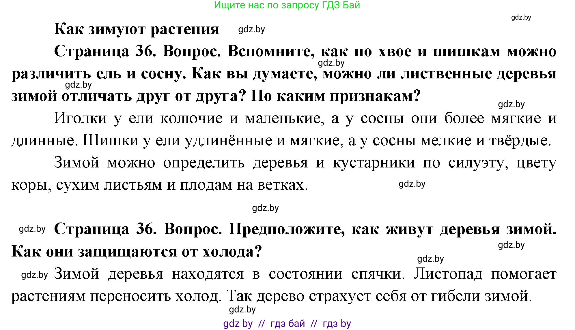 Человек и мир, 1 класс Учебник, авторы: Трафимова Галина Владимировна, Трафимов Сергей Анатольевич, издательство Национальный институт образования, Минск, 2023, салатового цвета, страница 36, Решение