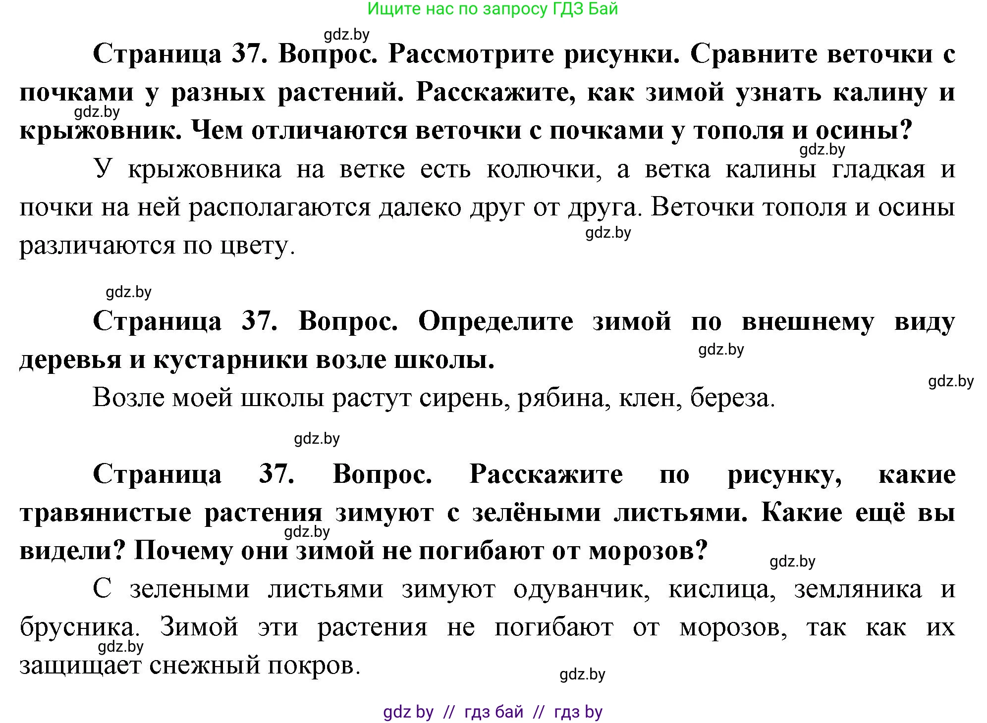 Человек и мир, 1 класс Учебник, авторы: Трафимова Галина Владимировна, Трафимов Сергей Анатольевич, издательство Национальный институт образования, Минск, 2023, салатового цвета, страница 37, Решение