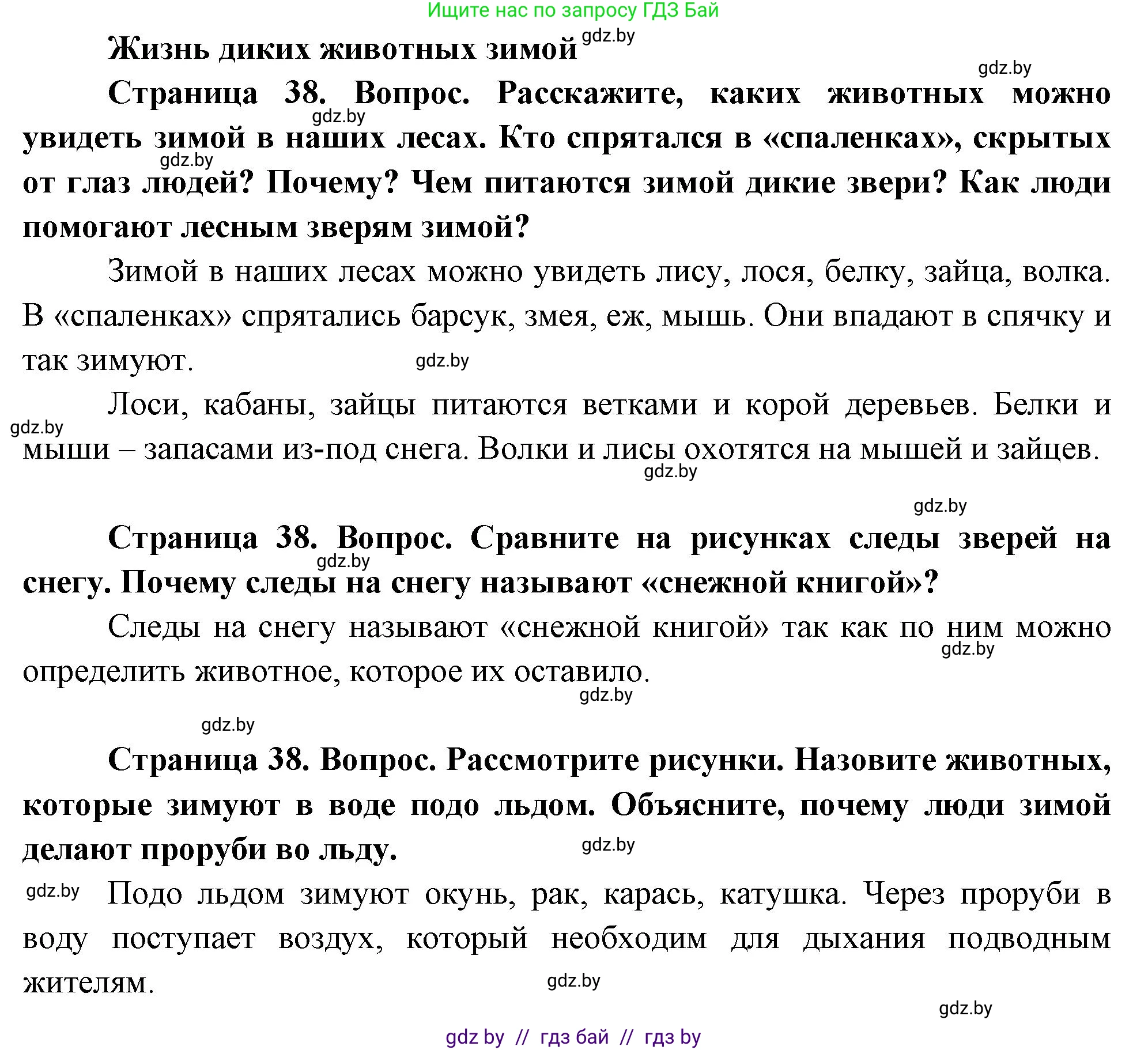Человек и мир, 1 класс Учебник, авторы: Трафимова Галина Владимировна, Трафимов Сергей Анатольевич, издательство Национальный институт образования, Минск, 2023, салатового цвета, страница 38, Решение