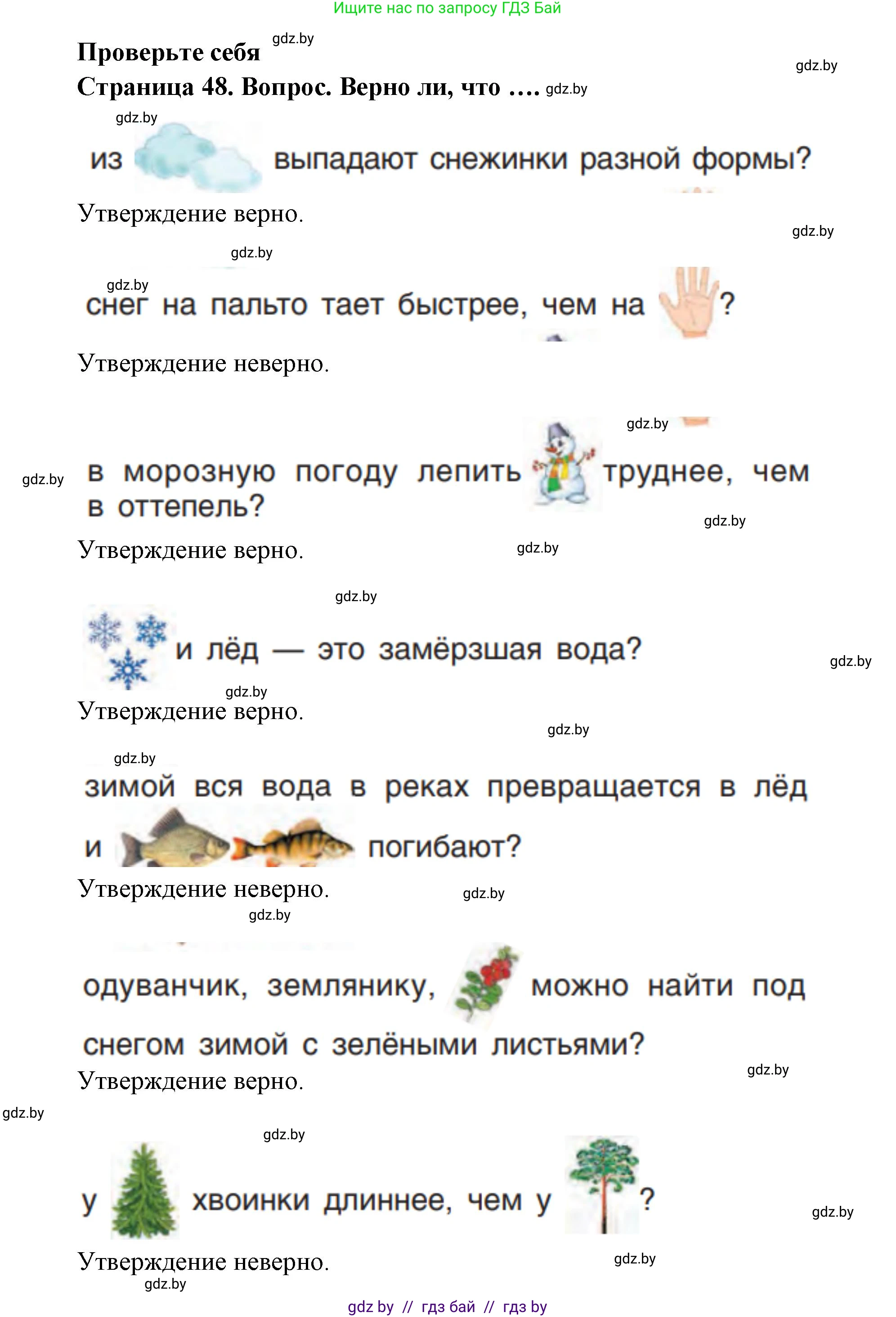Человек и мир, 1 класс Учебник, авторы: Трафимова Галина Владимировна, Трафимов Сергей Анатольевич, издательство Национальный институт образования, Минск, 2023, салатового цвета, страница 48, Решение