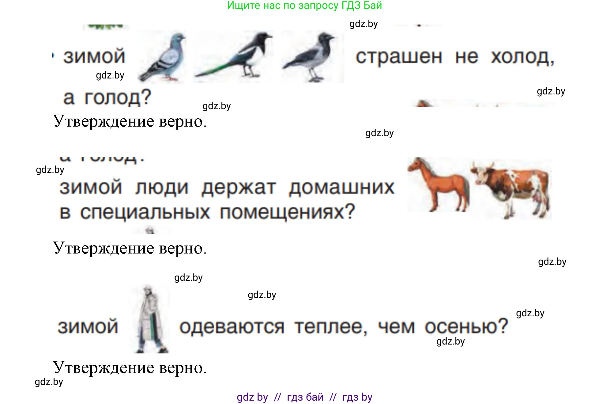Человек и мир, 1 класс Учебник, авторы: Трафимова Галина Владимировна, Трафимов Сергей Анатольевич, издательство Национальный институт образования, Минск, 2023, салатового цвета, страница 48, Решение (продолжение 2)