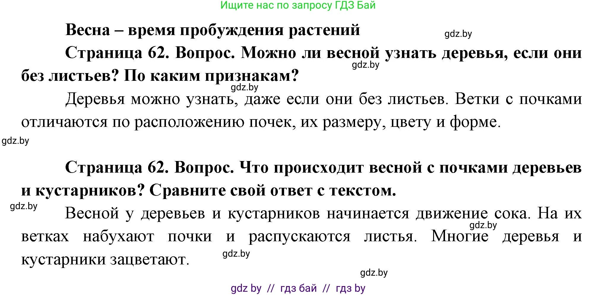 Человек и мир, 1 класс Учебник, авторы: Трафимова Галина Владимировна, Трафимов Сергей Анатольевич, издательство Национальный институт образования, Минск, 2023, салатового цвета, страница 62, Решение