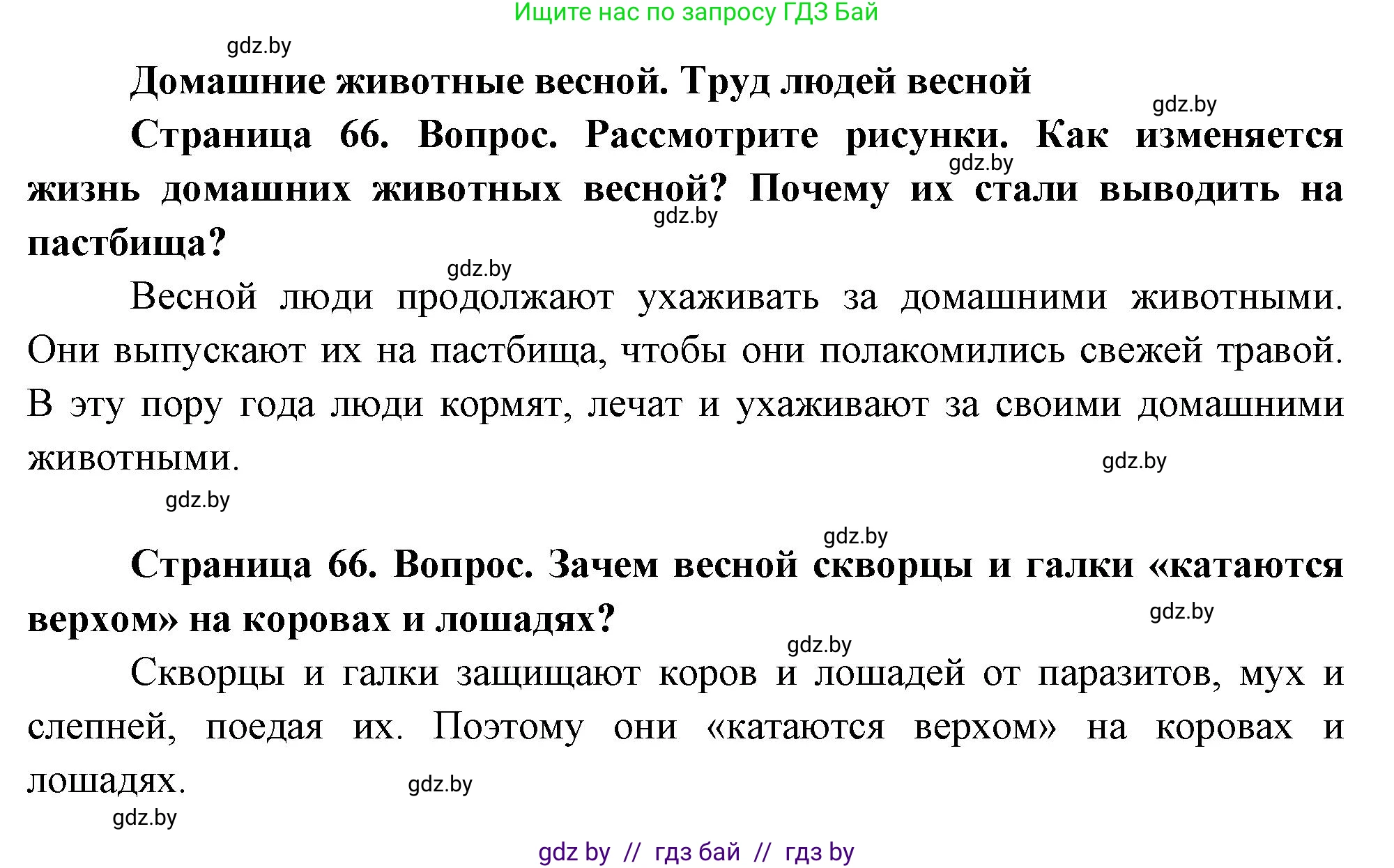 Человек и мир, 1 класс Учебник, авторы: Трафимова Галина Владимировна, Трафимов Сергей Анатольевич, издательство Национальный институт образования, Минск, 2023, салатового цвета, страница 66, Решение