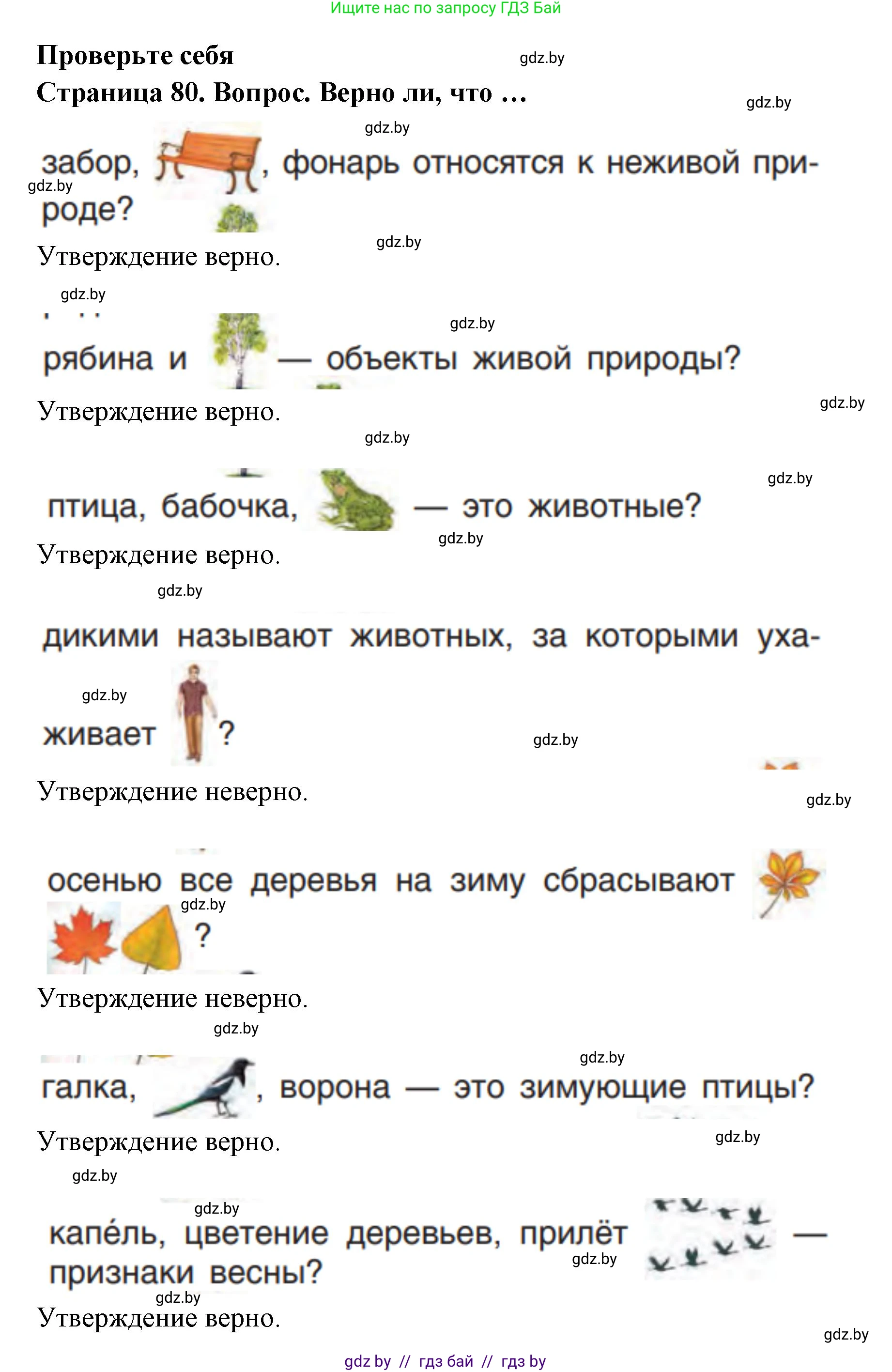 Человек и мир, 1 класс Учебник, авторы: Трафимова Галина Владимировна, Трафимов Сергей Анатольевич, издательство Национальный институт образования, Минск, 2023, салатового цвета, страница 80, Решение