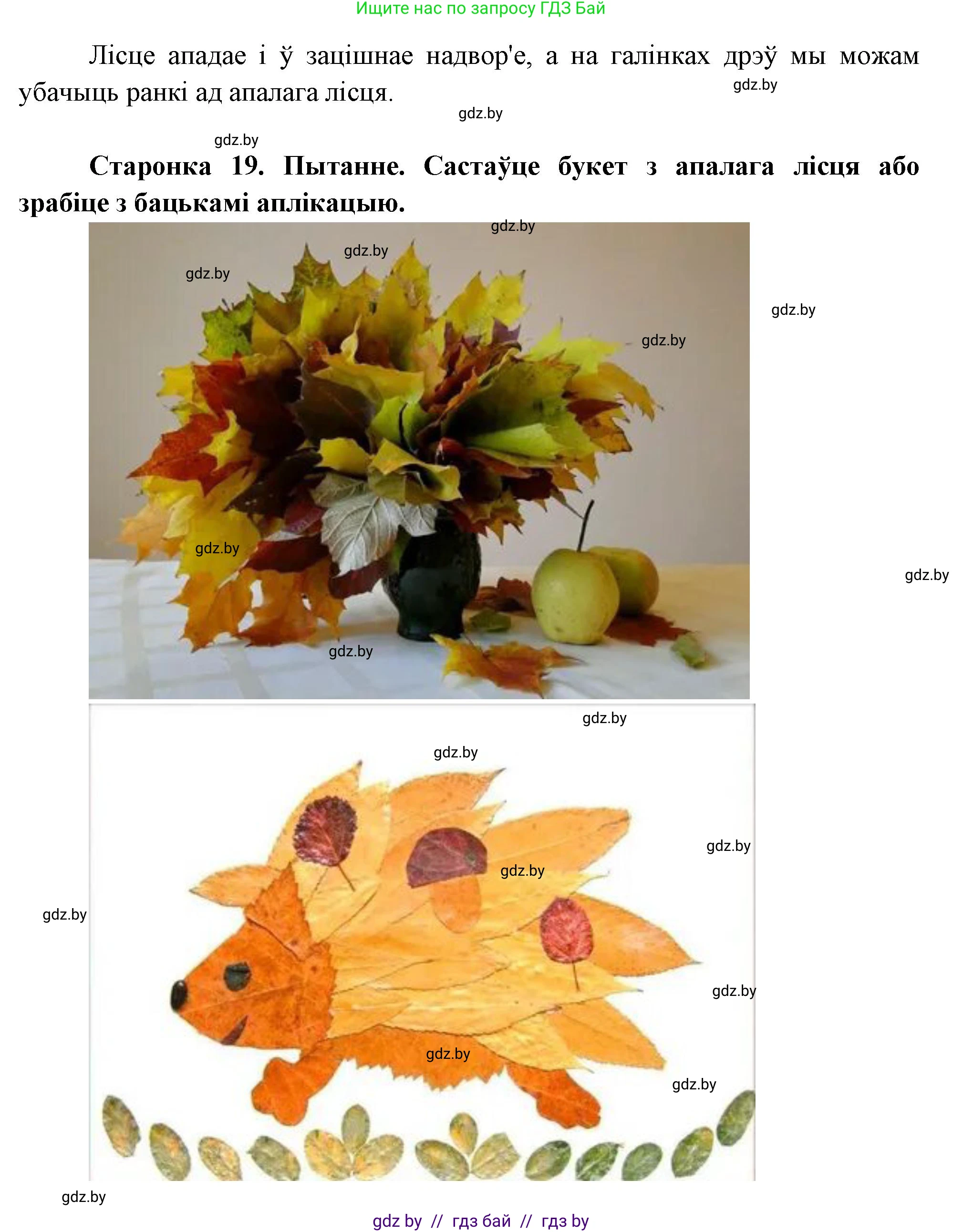 Человек и мир, 1 класс Учебник, авторы: Трафимова Галина Владимировна, Трафимов Сергей Анатольевич, издательство Национальный институт образования, Минск, 2023, салатового цвета, страница 19, Решение (продолжение 2)