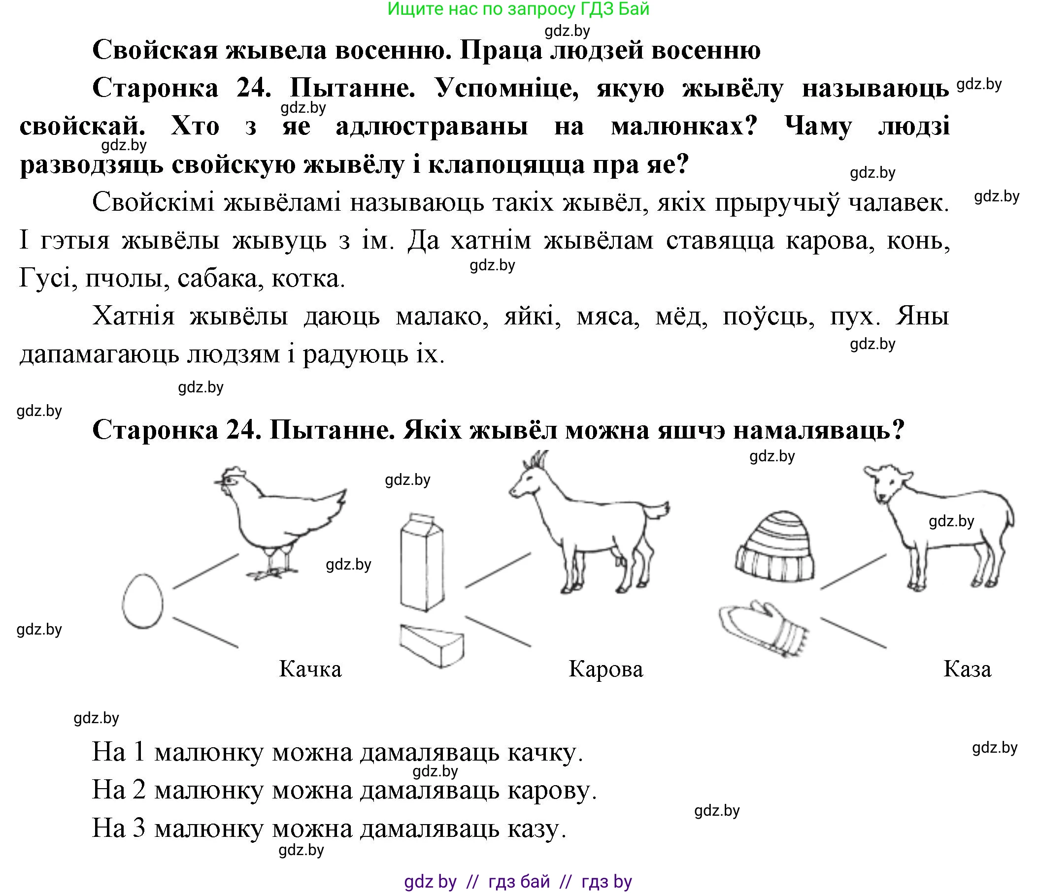 Человек и мир, 1 класс Учебник, авторы: Трафимова Галина Владимировна, Трафимов Сергей Анатольевич, издательство Национальный институт образования, Минск, 2023, салатового цвета, страница 24, Решение