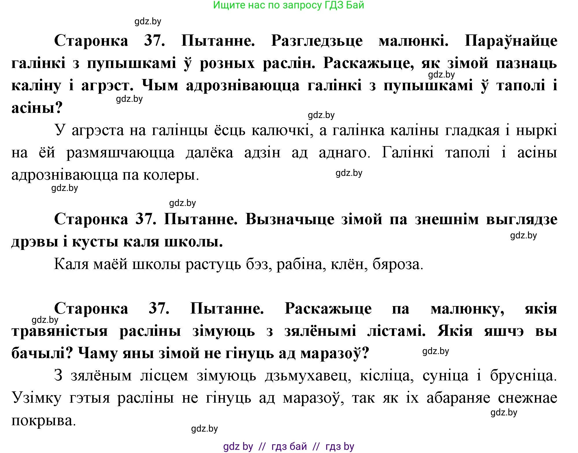 Человек и мир, 1 класс Учебник, авторы: Трафимова Галина Владимировна, Трафимов Сергей Анатольевич, издательство Национальный институт образования, Минск, 2023, салатового цвета, страница 37, Решение
