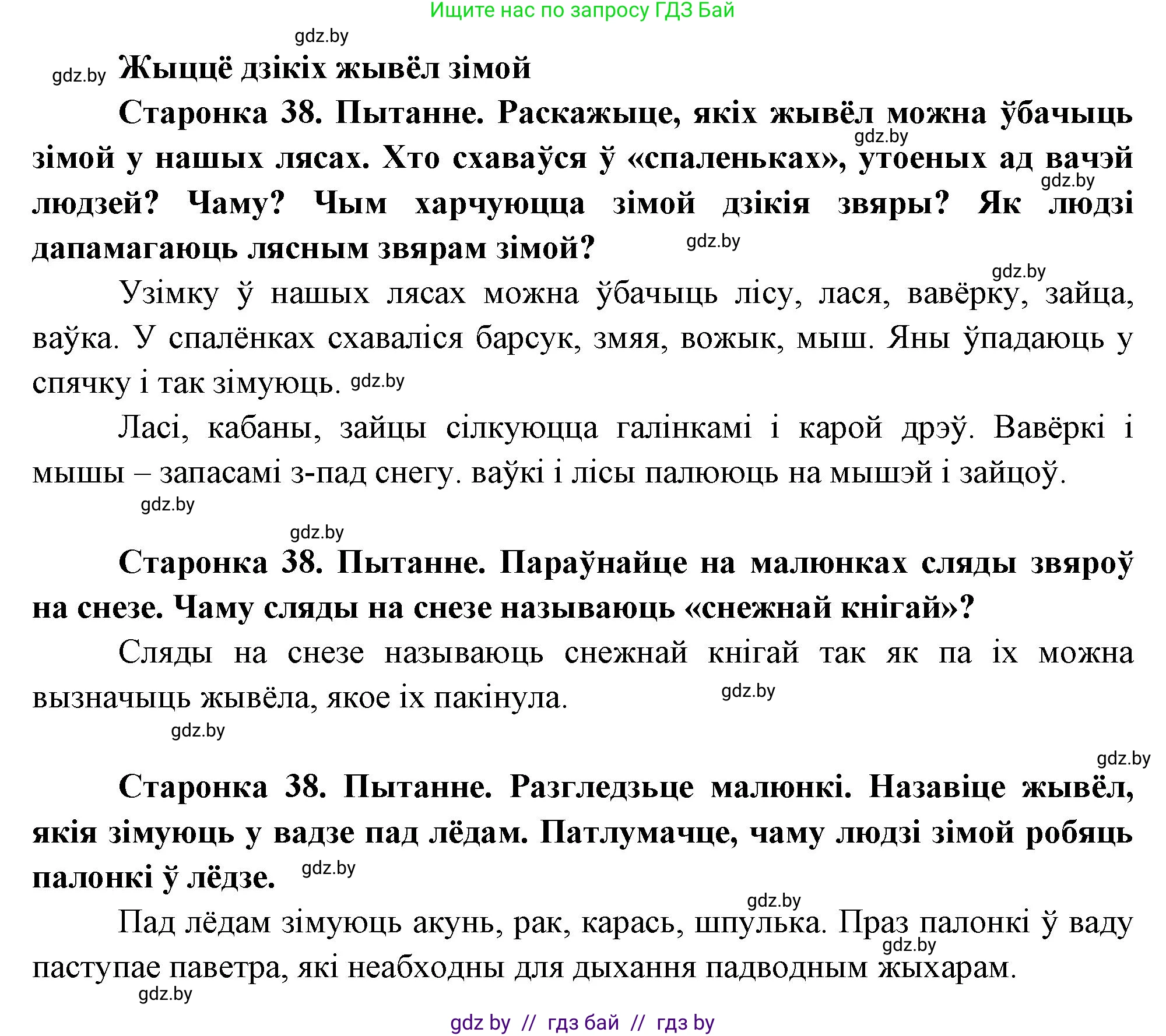 Человек и мир, 1 класс Учебник, авторы: Трафимова Галина Владимировна, Трафимов Сергей Анатольевич, издательство Национальный институт образования, Минск, 2023, салатового цвета, страница 38, Решение