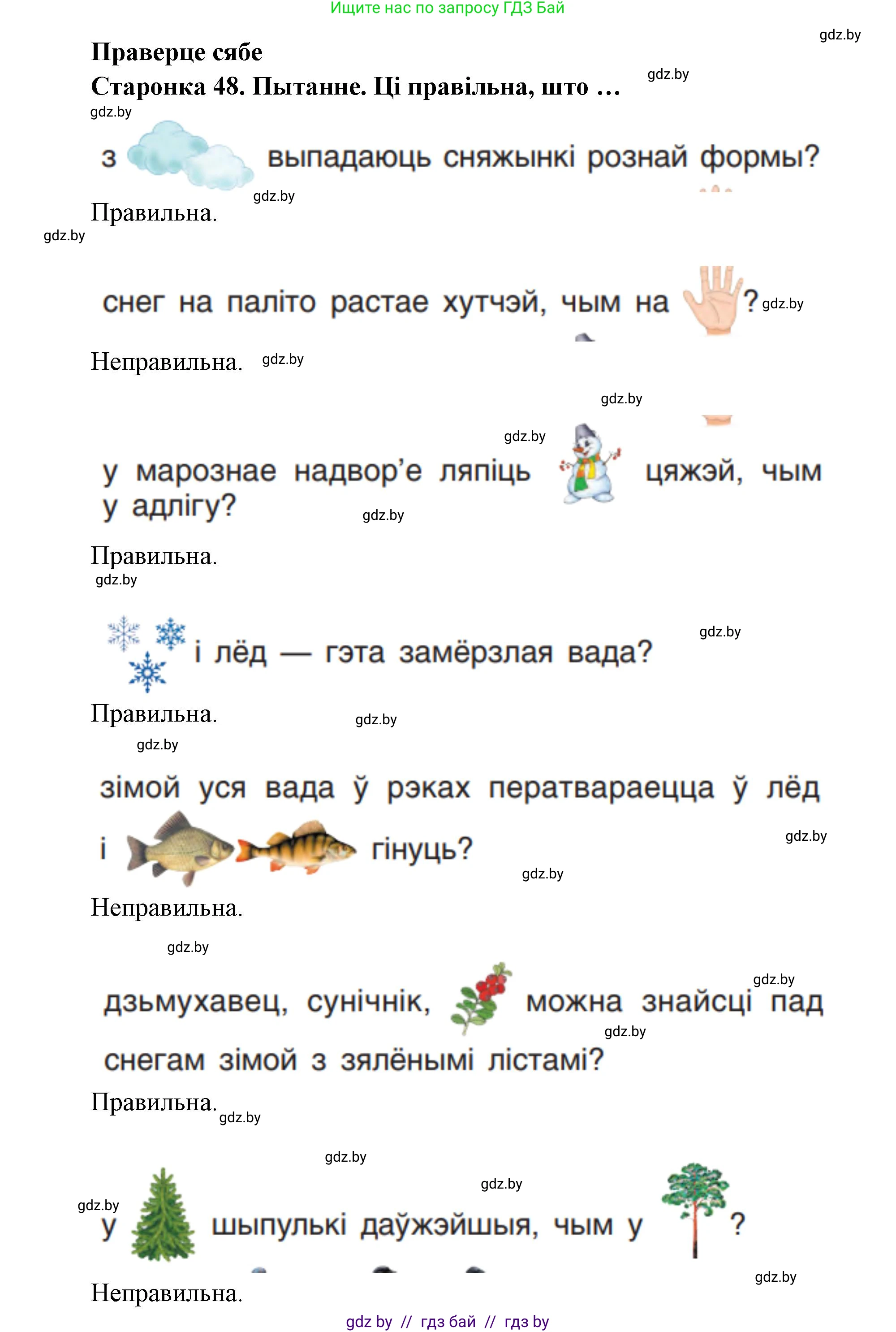 Человек и мир, 1 класс Учебник, авторы: Трафимова Галина Владимировна, Трафимов Сергей Анатольевич, издательство Национальный институт образования, Минск, 2023, салатового цвета, страница 48, Решение