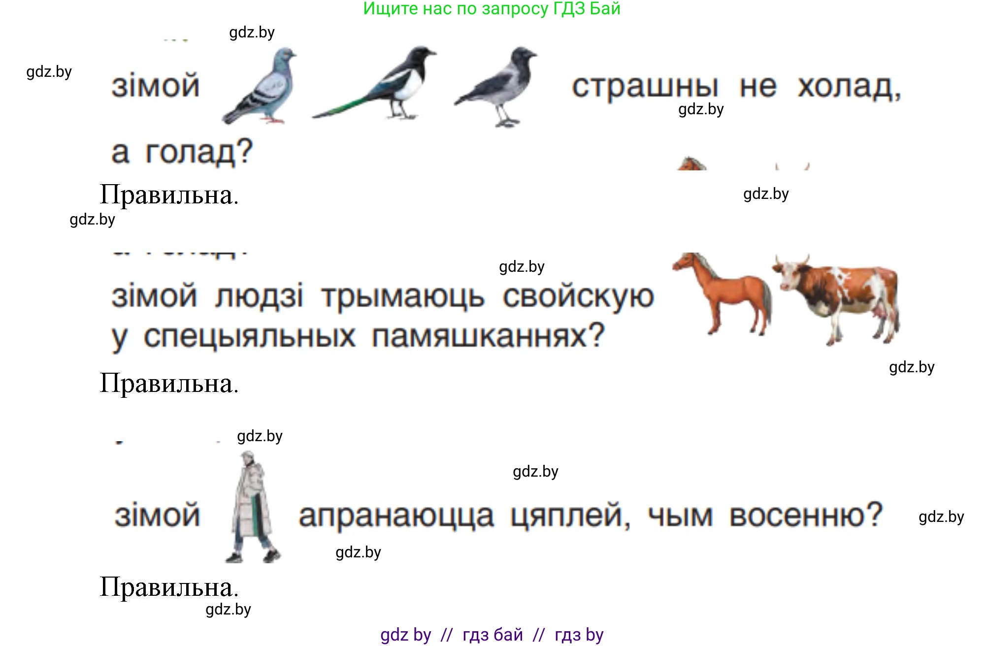 Человек и мир, 1 класс Учебник, авторы: Трафимова Галина Владимировна, Трафимов Сергей Анатольевич, издательство Национальный институт образования, Минск, 2023, салатового цвета, страница 48, Решение (продолжение 2)