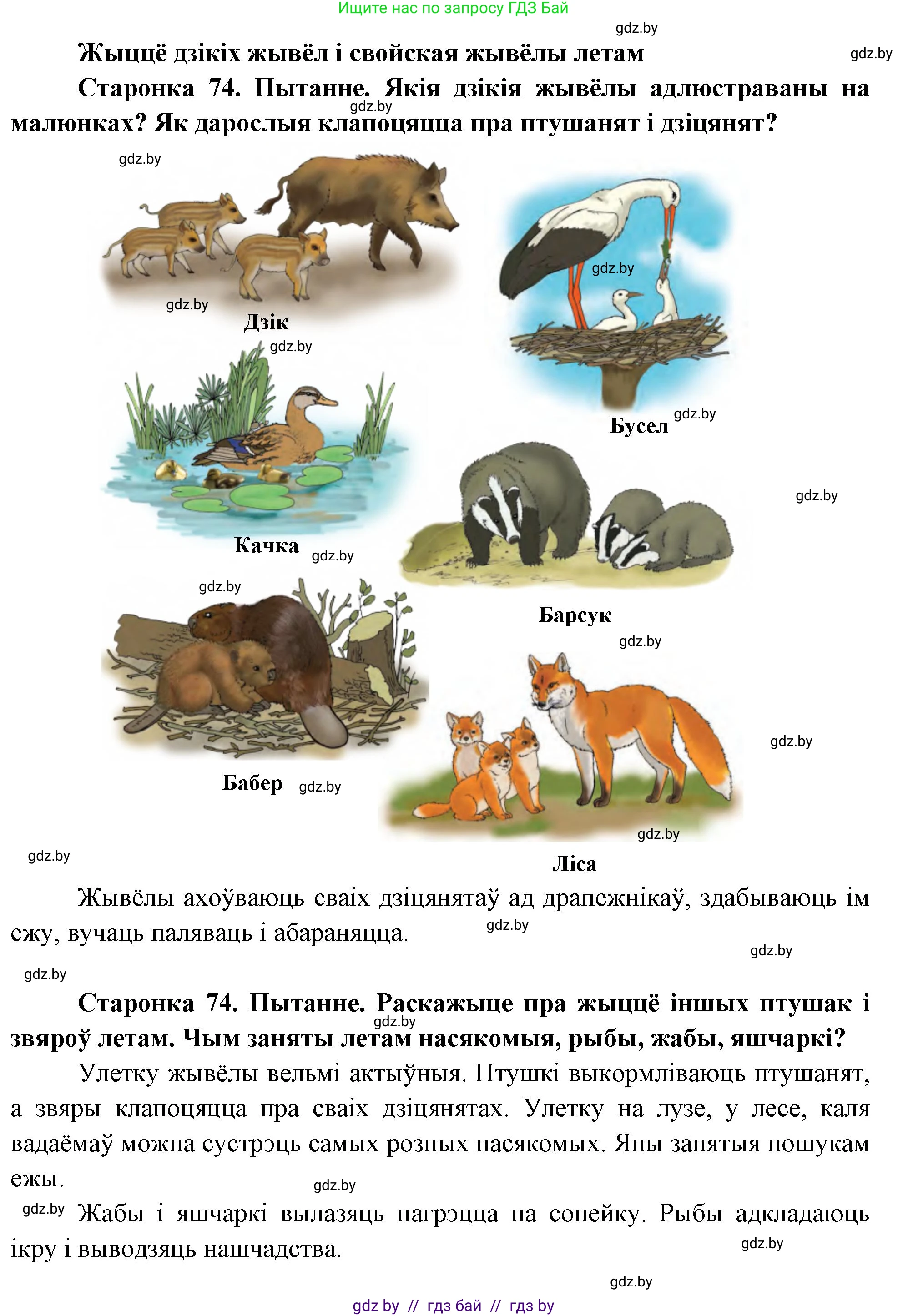 Человек и мир, 1 класс Учебник, авторы: Трафимова Галина Владимировна, Трафимов Сергей Анатольевич, издательство Национальный институт образования, Минск, 2023, салатового цвета, страница 74, Решение