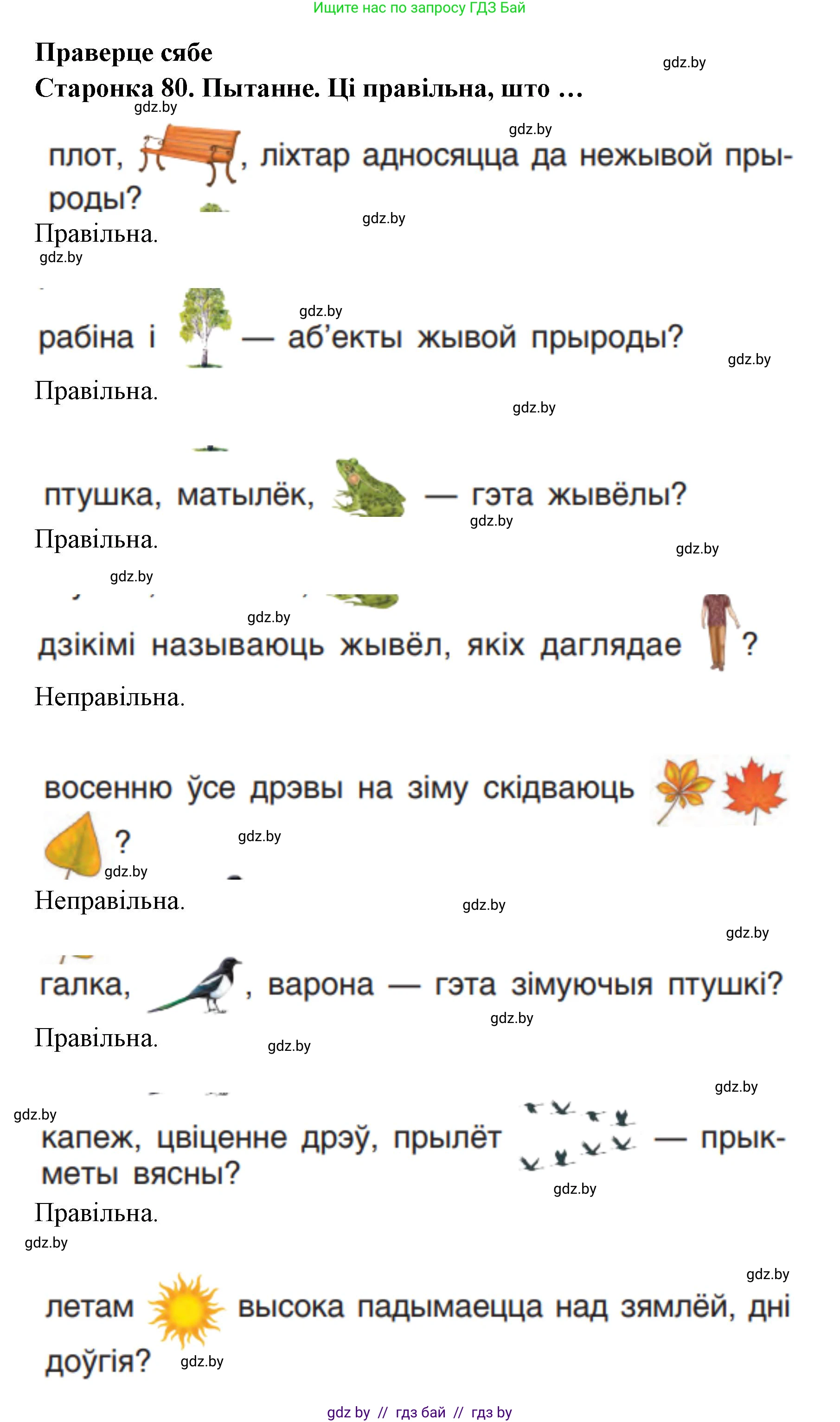 Человек и мир, 1 класс Учебник, авторы: Трафимова Галина Владимировна, Трафимов Сергей Анатольевич, издательство Национальный институт образования, Минск, 2023, салатового цвета, страница 80, Решение