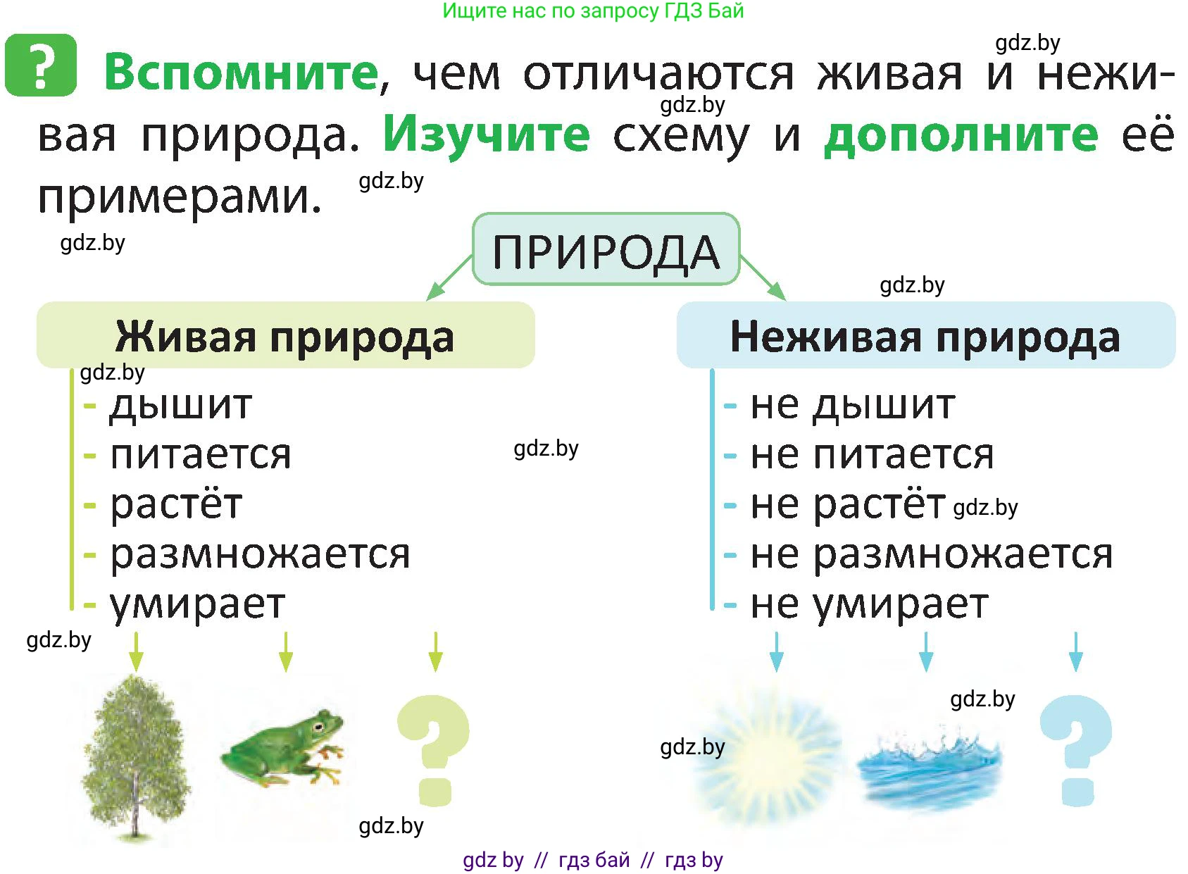 Человек и мир, 2 класс Учебник, авторы: Трафимова Галина Владимировна, Трафимов Сергей Анатольевич, издательство Академия образования, Минск, 2024, страница 6, номер 2, Условие