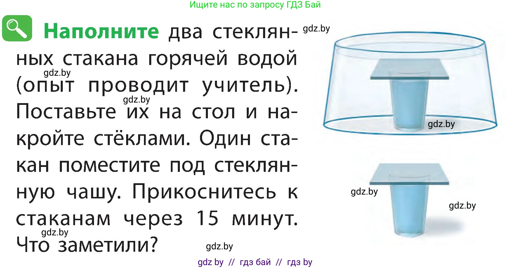 Человек и мир, 2 класс Учебник, авторы: Трафимова Галина Владимировна, Трафимов Сергей Анатольевич, издательство Академия образования, Минск, 2024, страница 13, номер 5, Условие