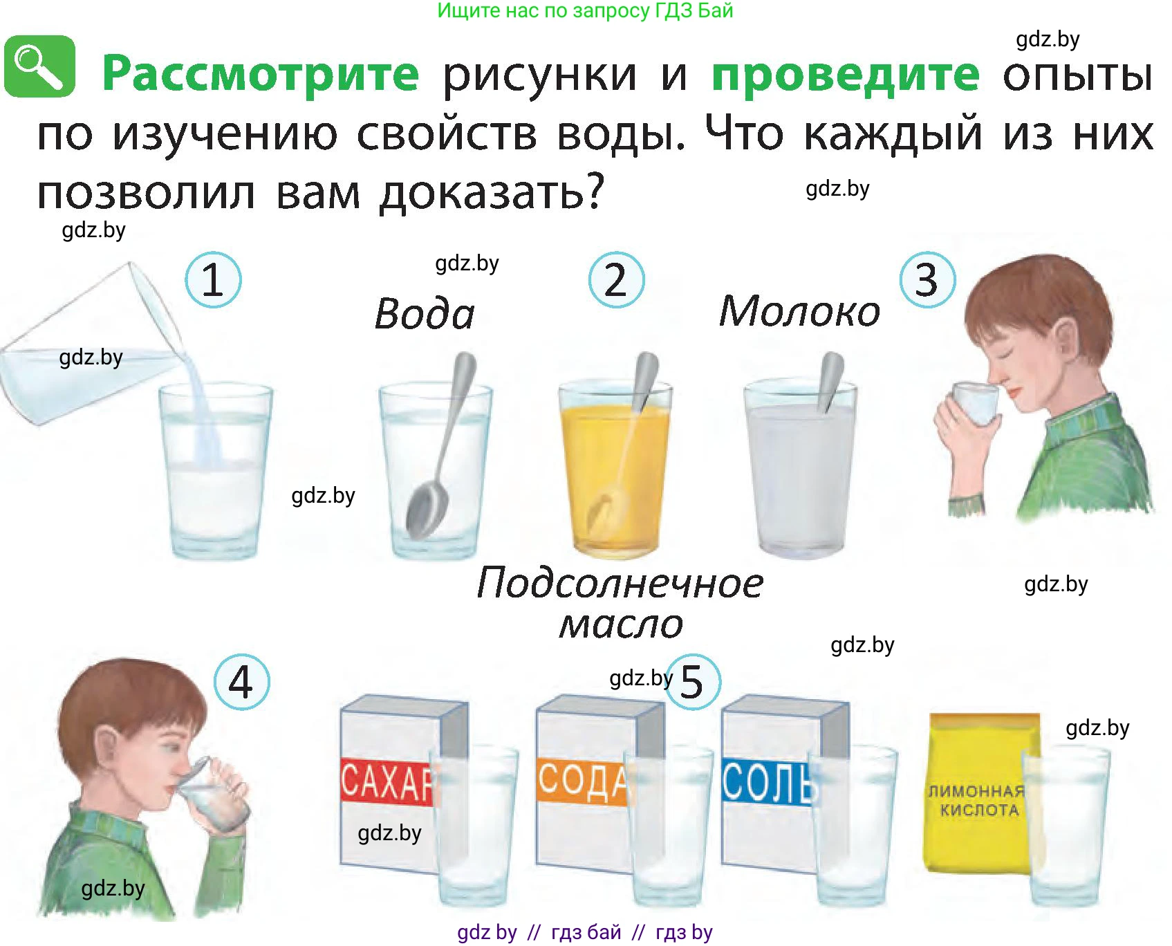 Человек и мир, 2 класс Учебник, авторы: Трафимова Галина Владимировна, Трафимов Сергей Анатольевич, издательство Академия образования, Минск, 2024, страница 20, номер 4, Условие