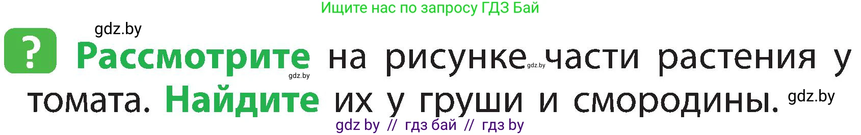 Человек и мир, 2 класс Учебник, авторы: Трафимова Галина Владимировна, Трафимов Сергей Анатольевич, издательство Академия образования, Минск, 2024, страница 37, номер 3, Условие