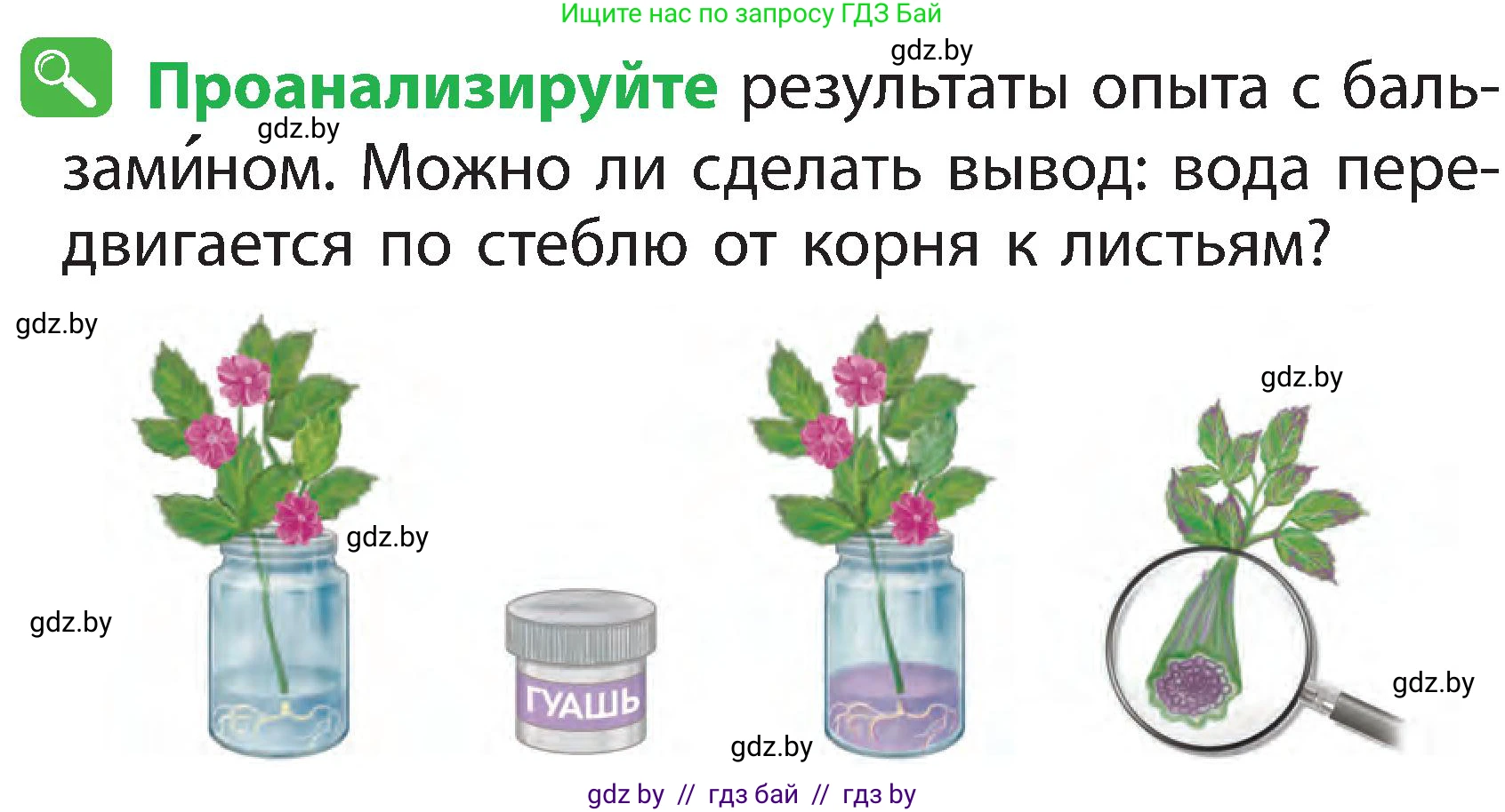 Человек и мир, 2 класс Учебник, авторы: Трафимова Галина Владимировна, Трафимов Сергей Анатольевич, издательство Академия образования, Минск, 2024, страница 39, номер 5, Условие