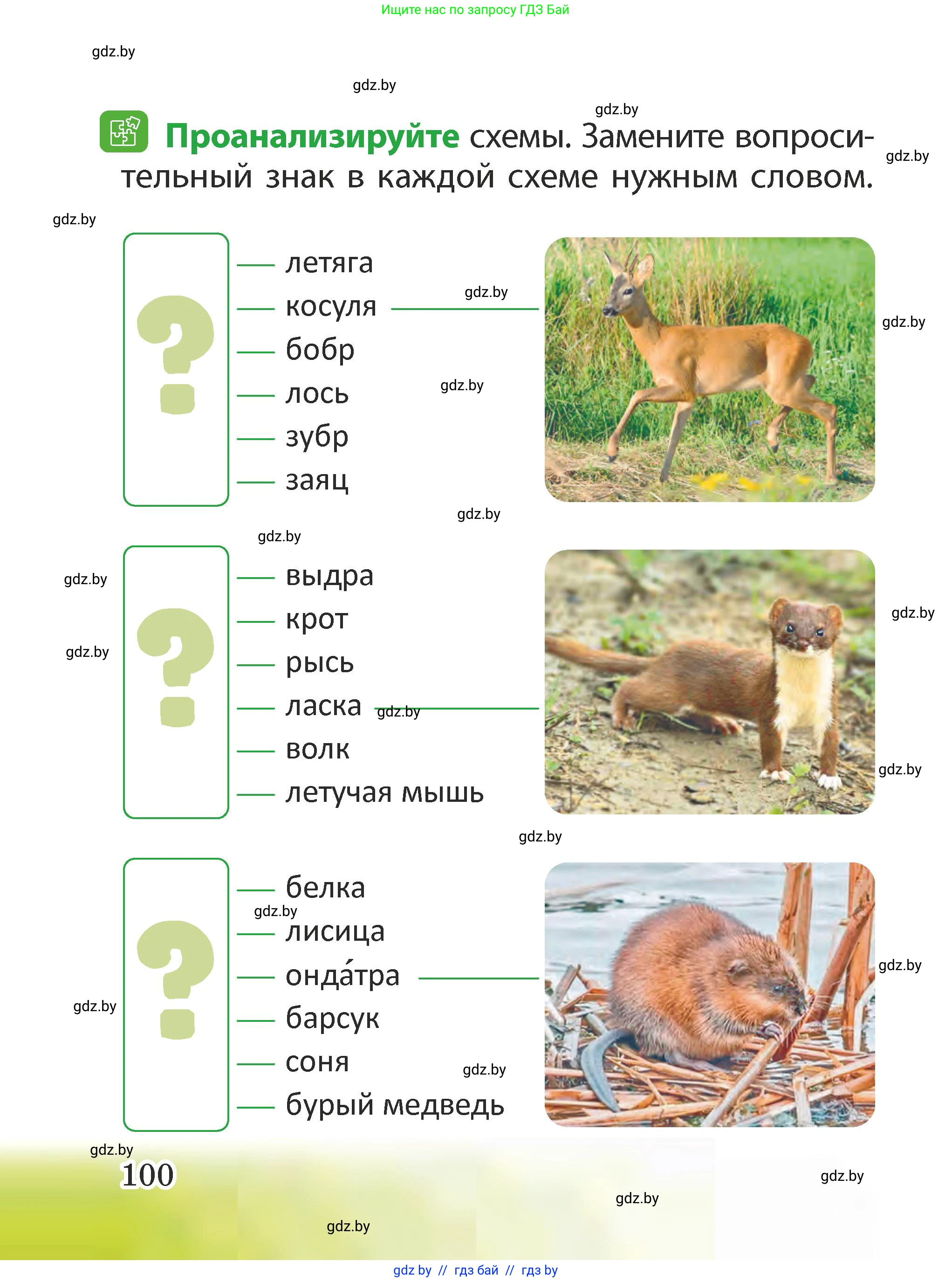 Человек и мир, 2 класс Учебник, авторы: Трафимова Галина Владимировна, Трафимов Сергей Анатольевич, издательство Академия образования, Минск, 2024, страница 100
