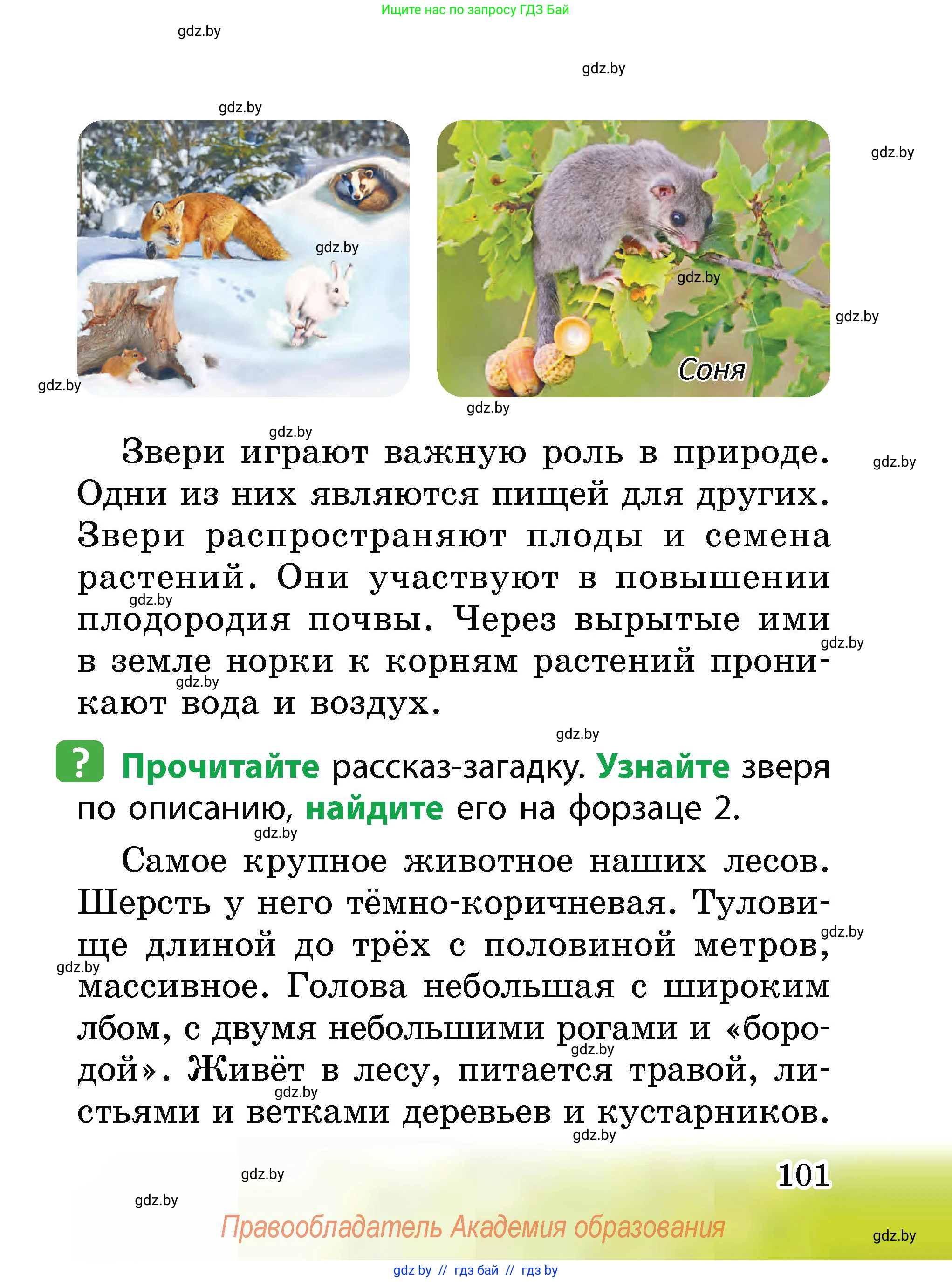 Человек и мир, 2 класс Учебник, авторы: Трафимова Галина Владимировна, Трафимов Сергей Анатольевич, издательство Академия образования, Минск, 2024, страница 101